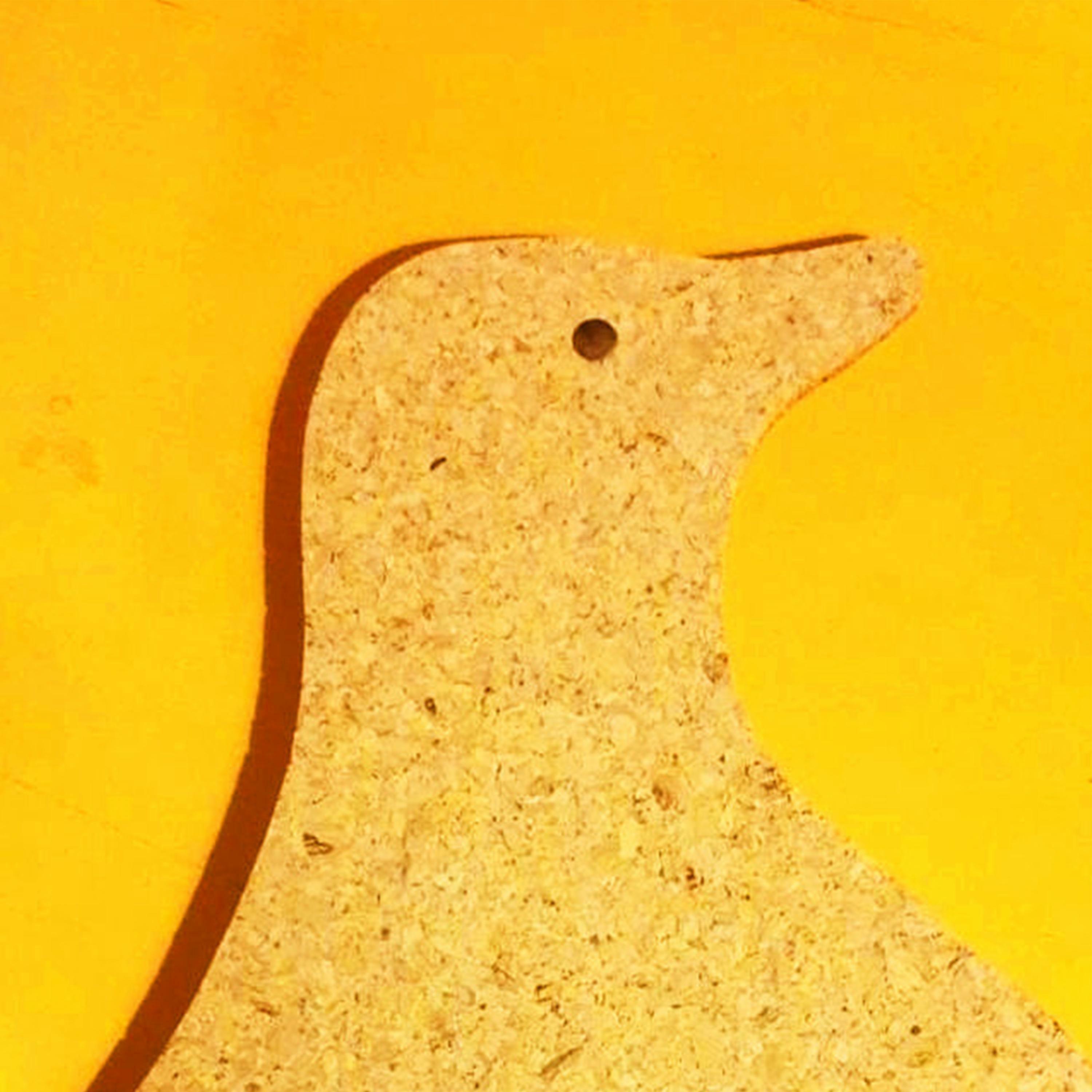 Track Image