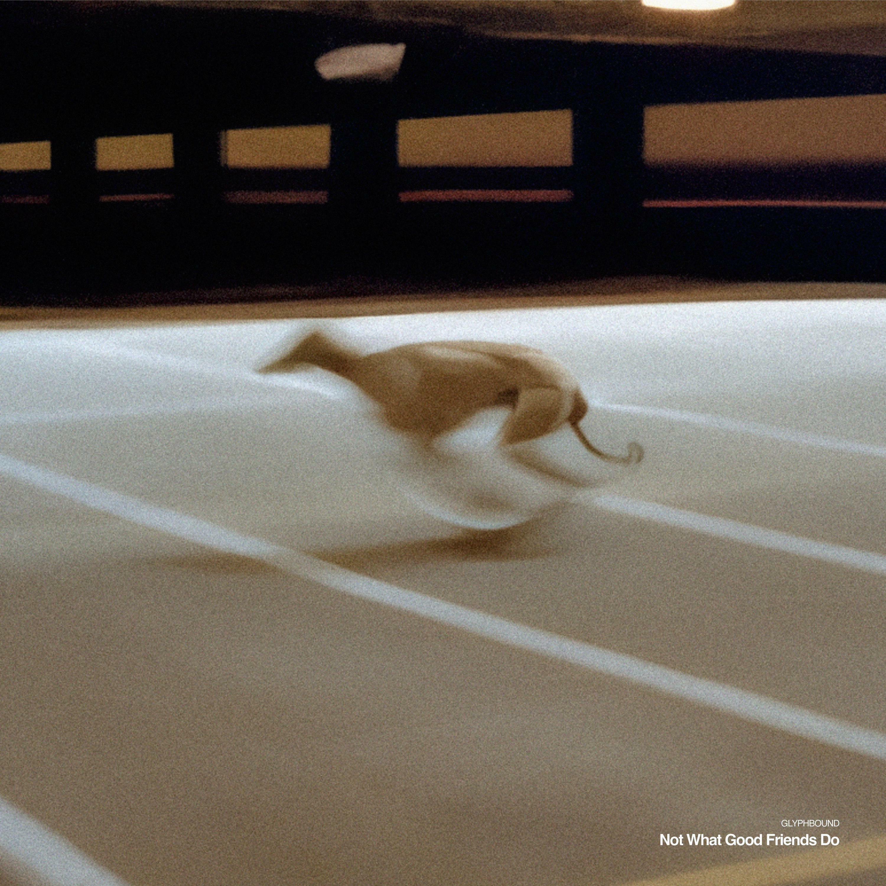 Track Image