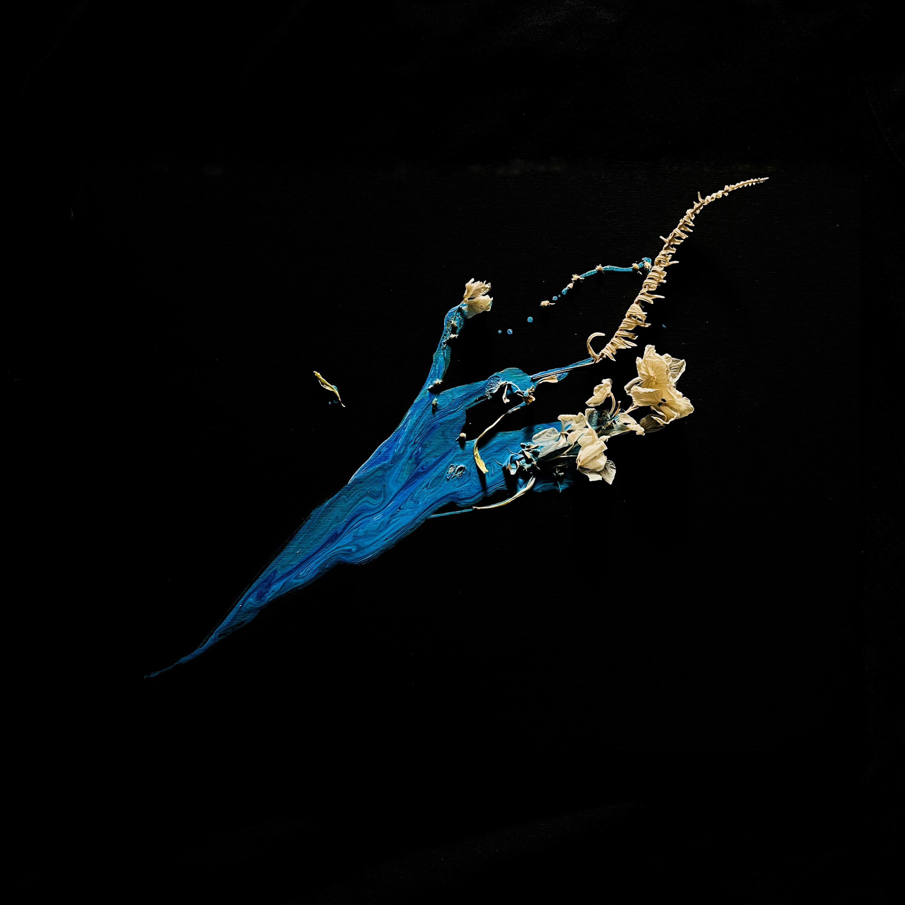 Track Image