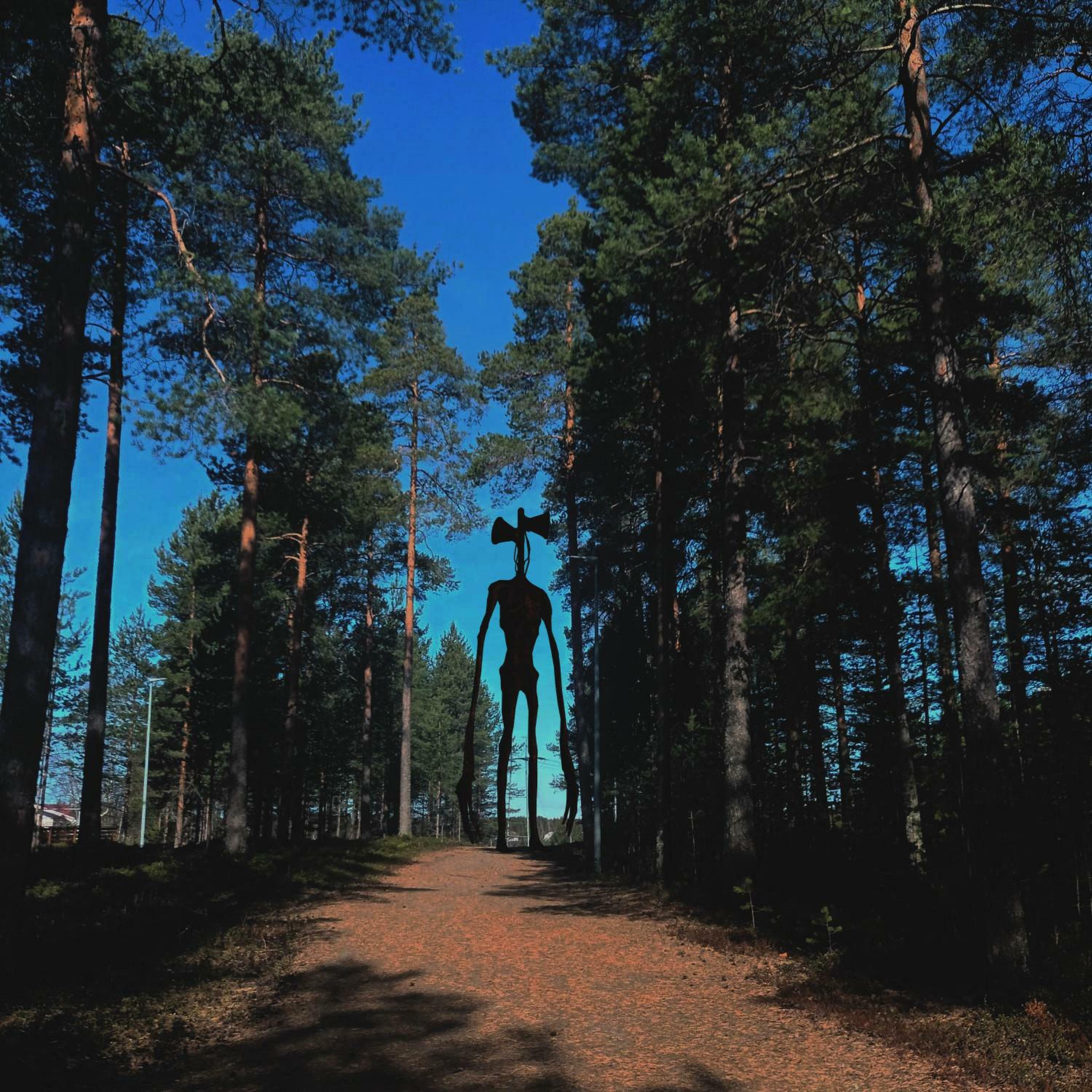 Track Image