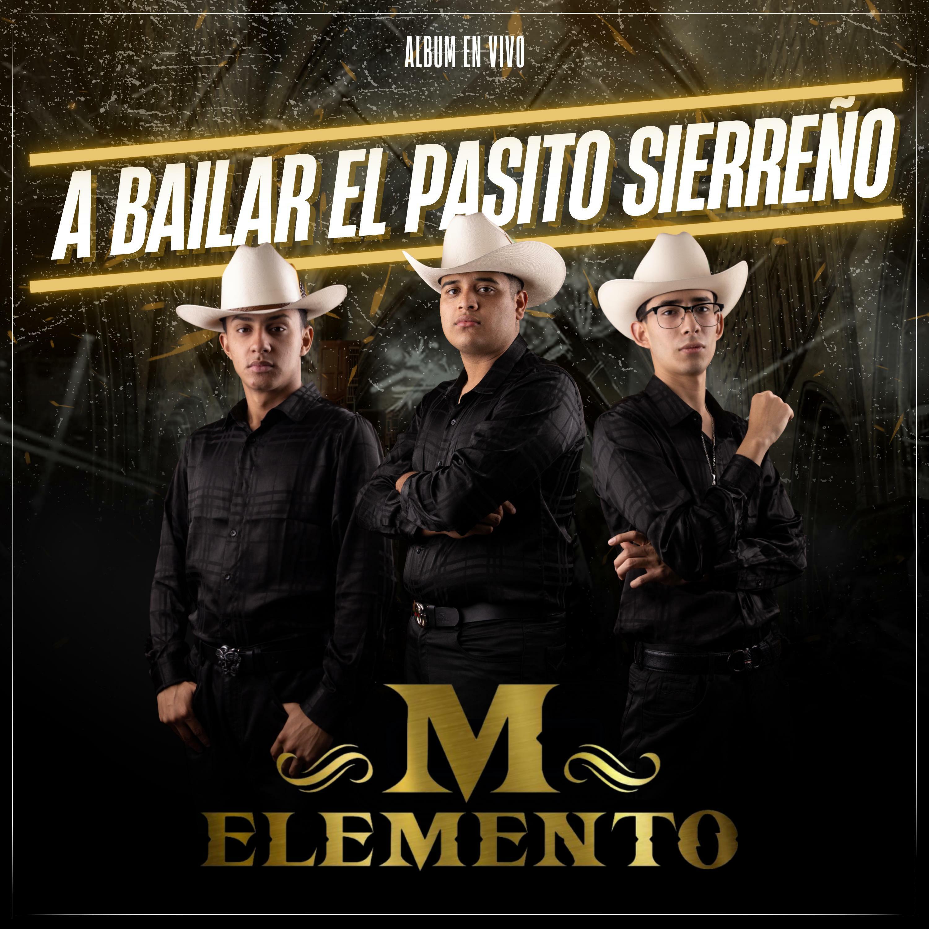 Stream Free Songs By Los Elementos De La Sierra & Similar Artists | IHeart