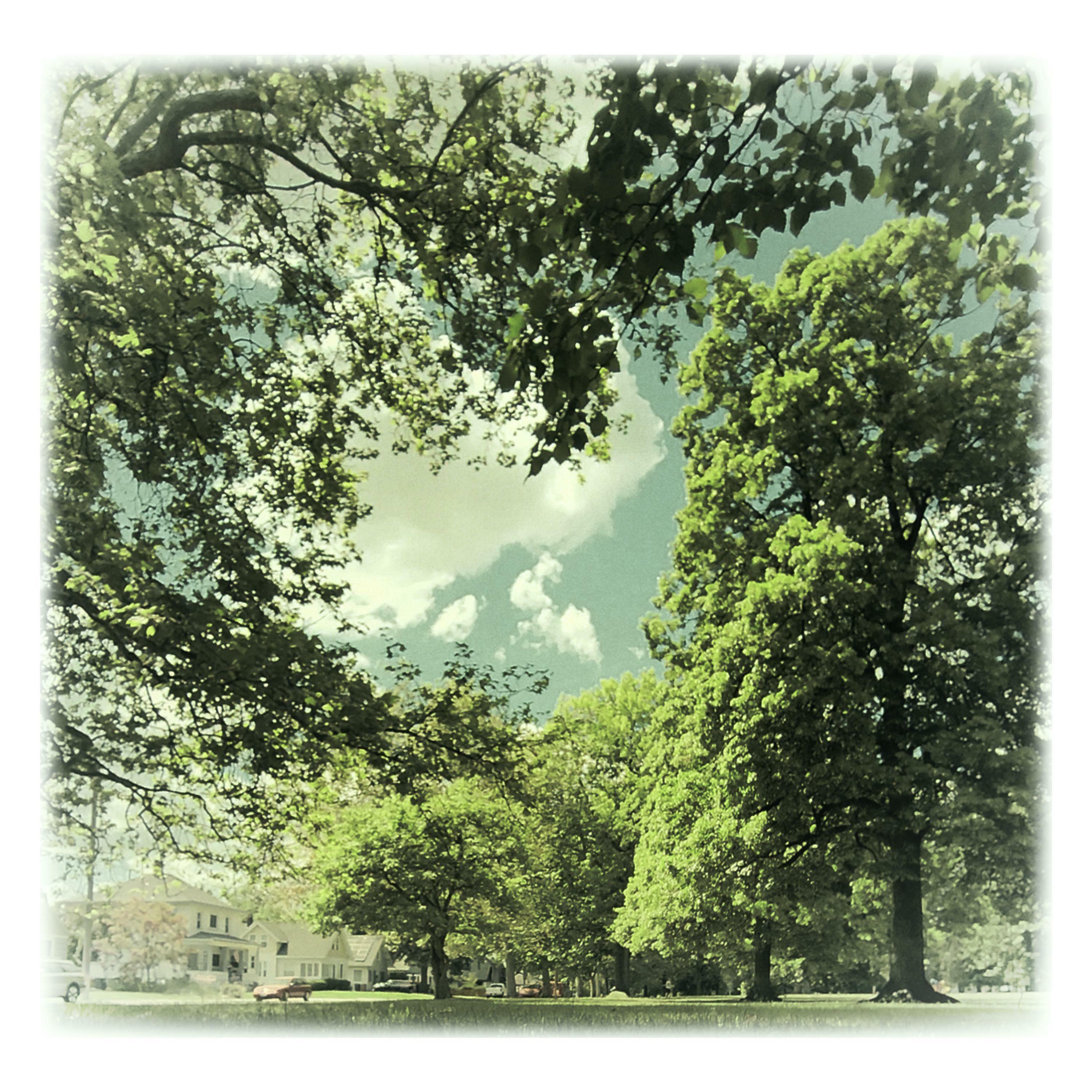 Track Image