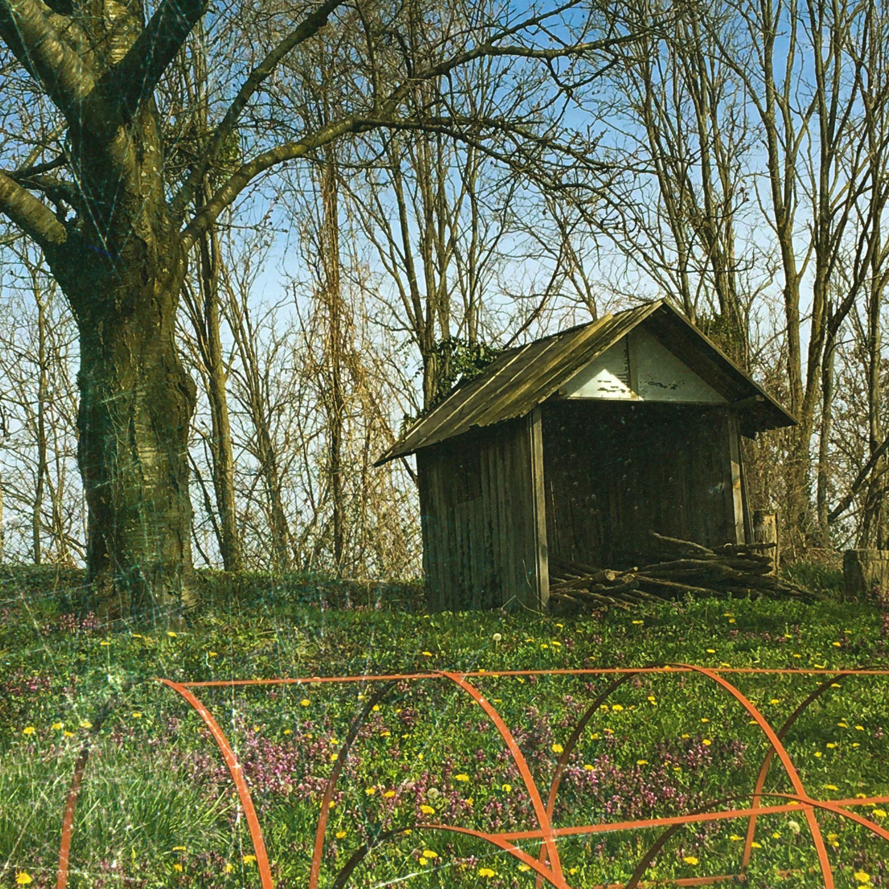 Track Image