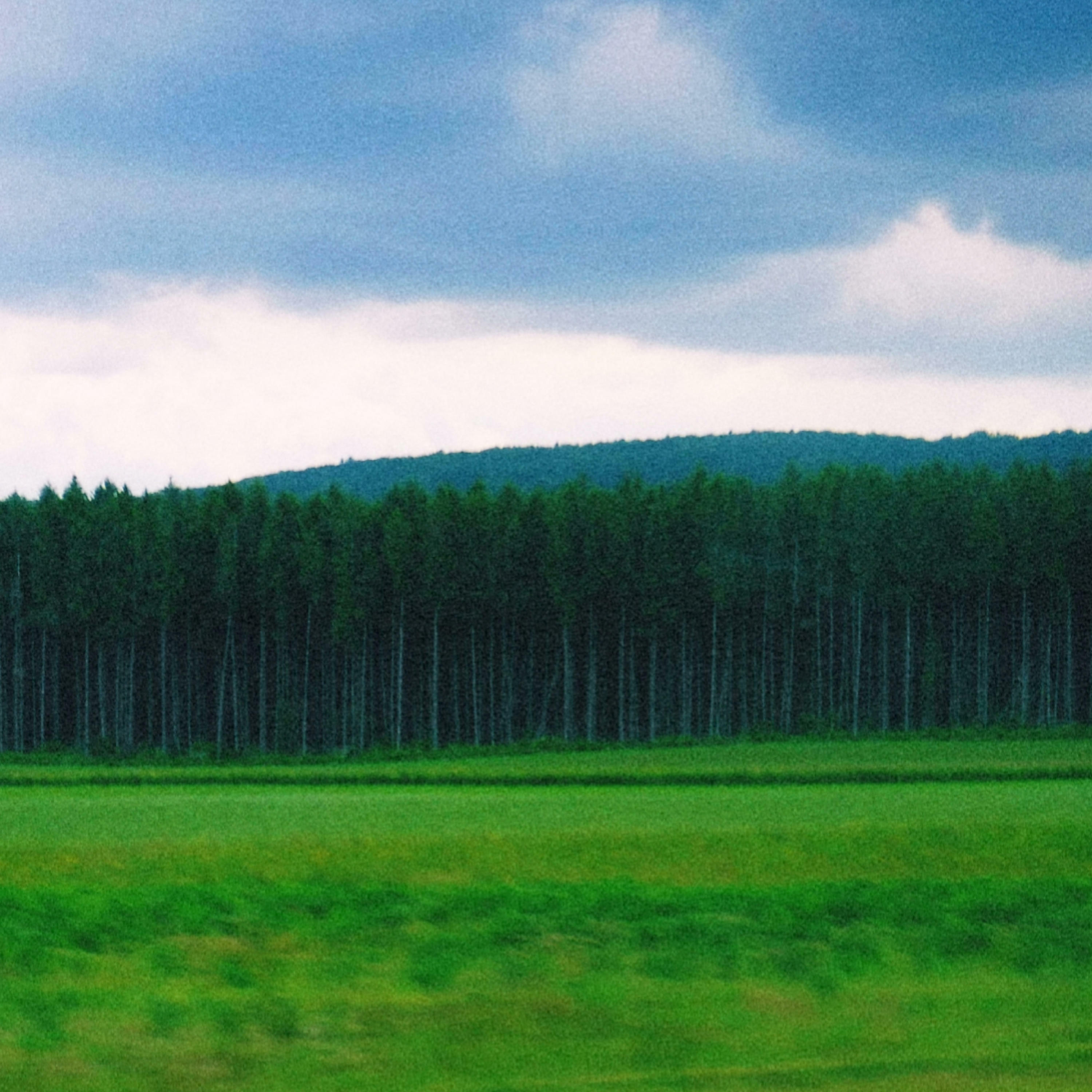 Track Image