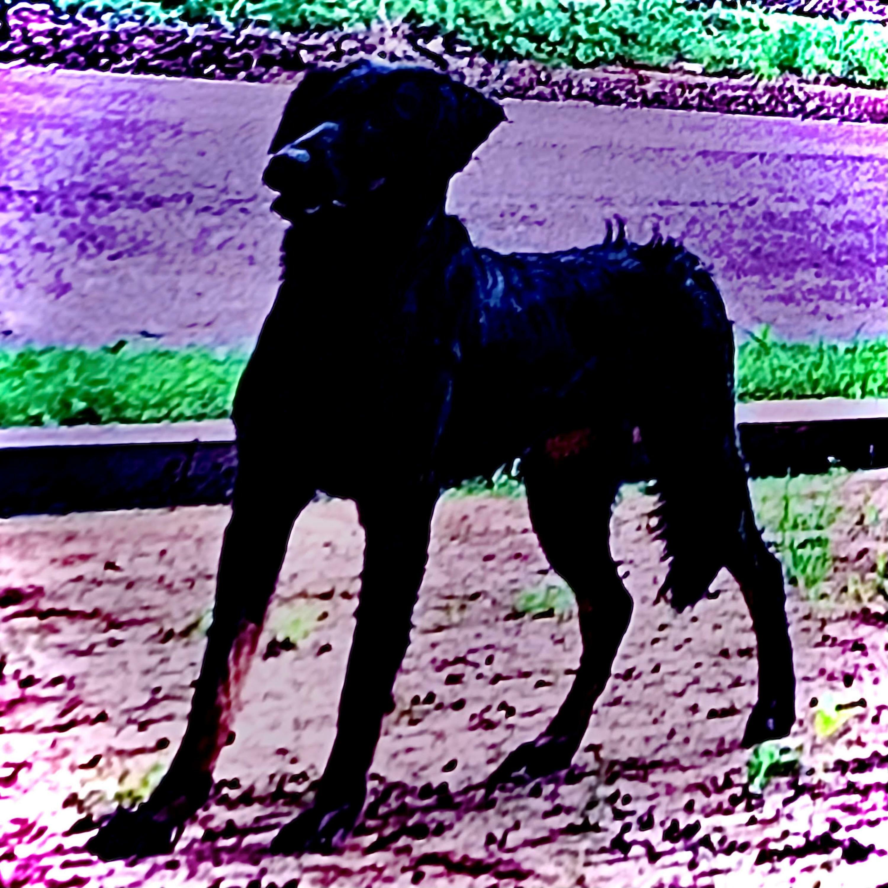 Track Image