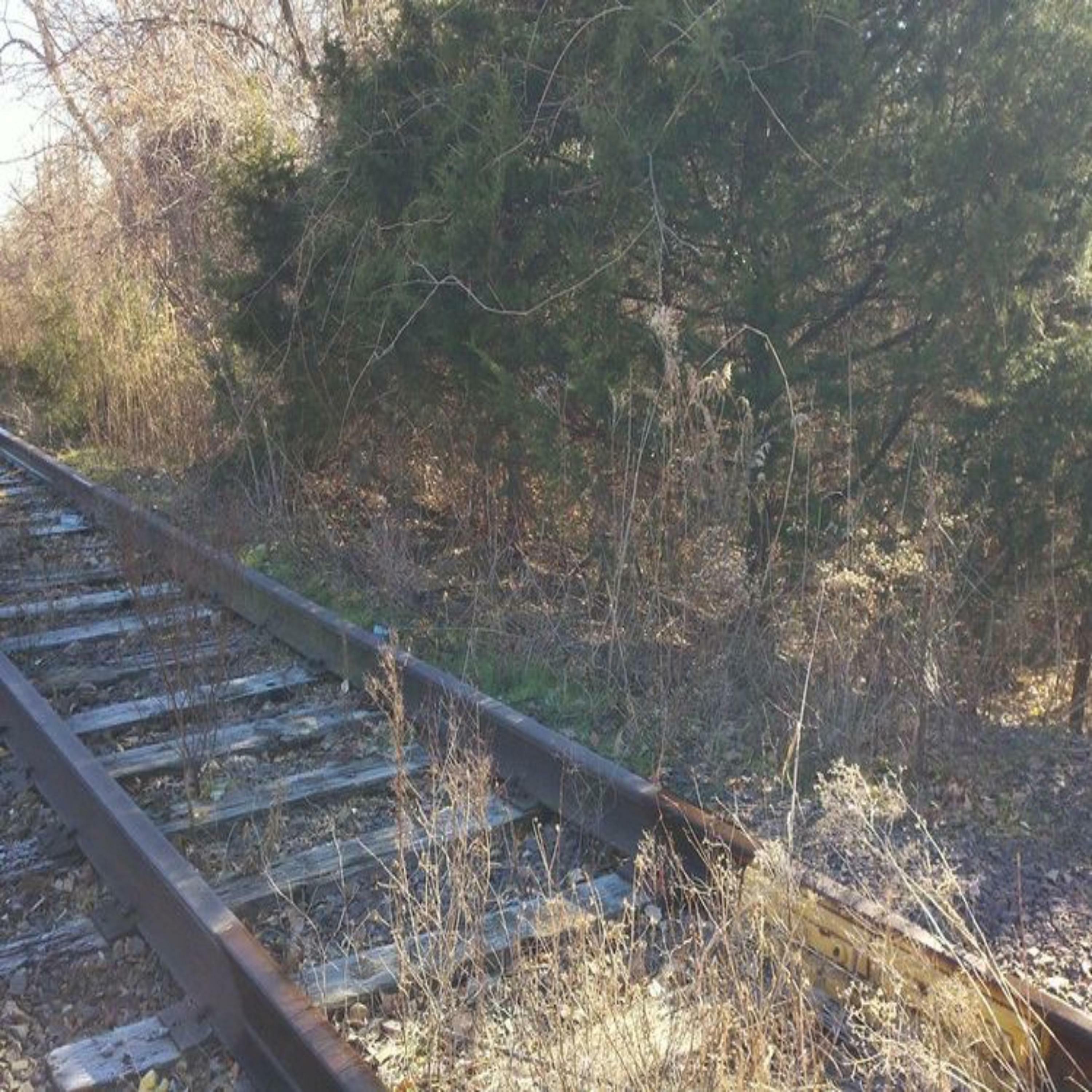 Track Image