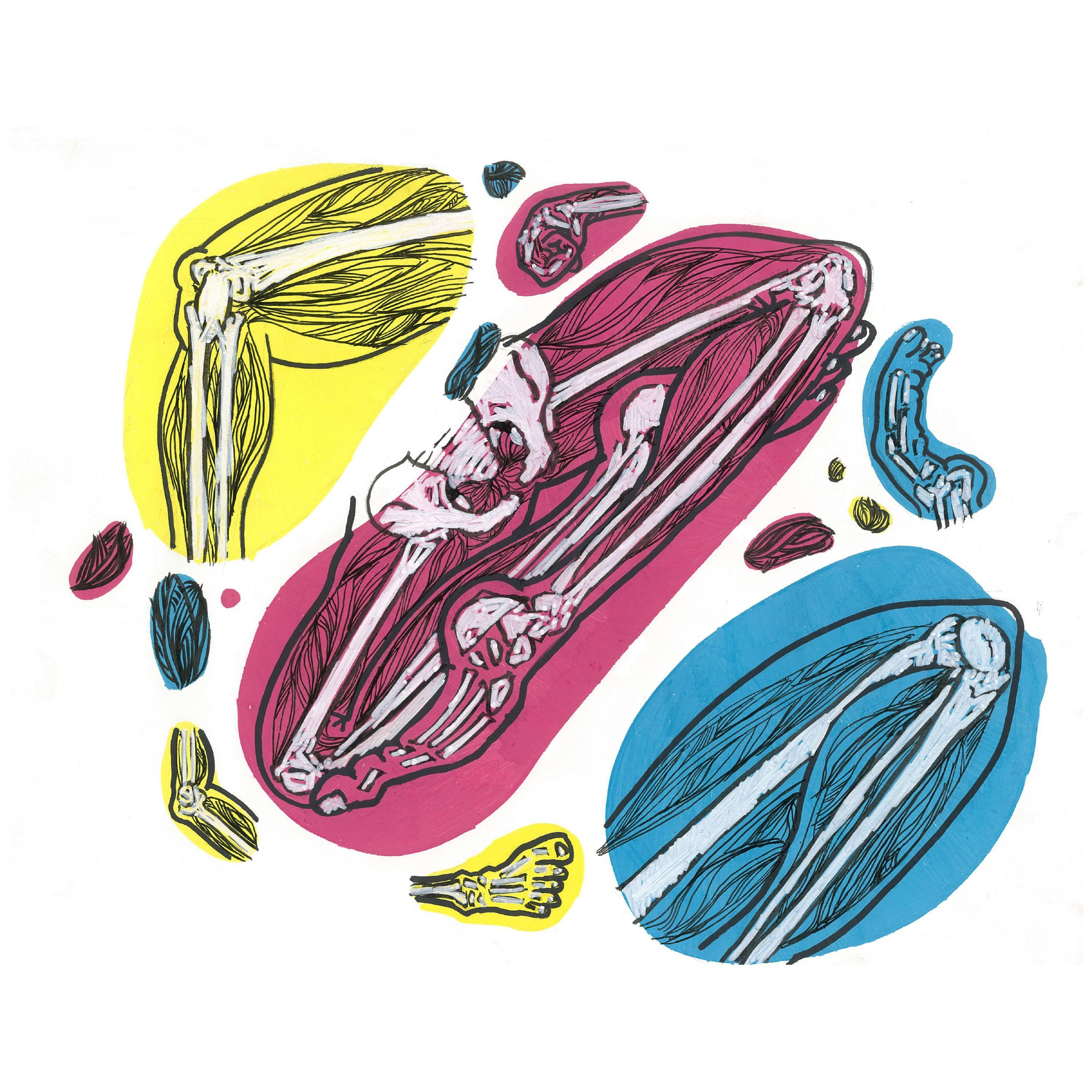 Track Image