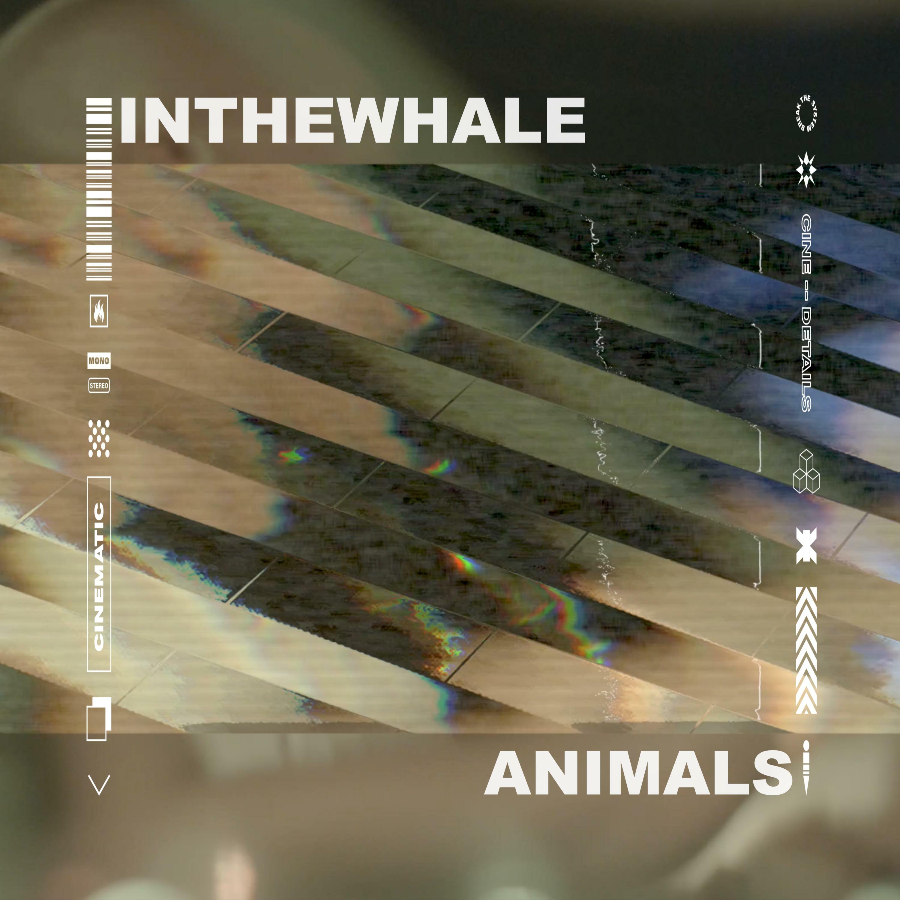 Track Image