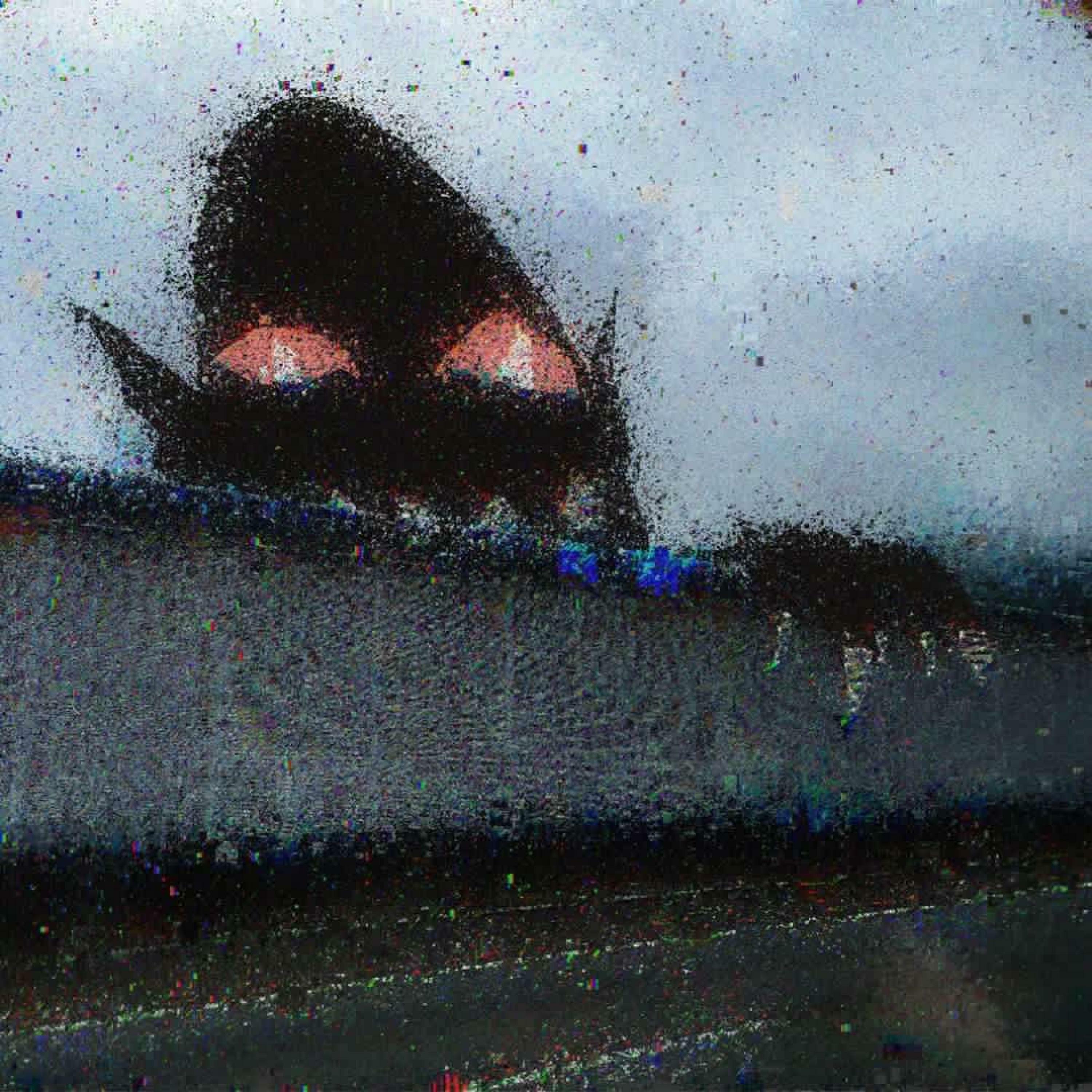 Track Image