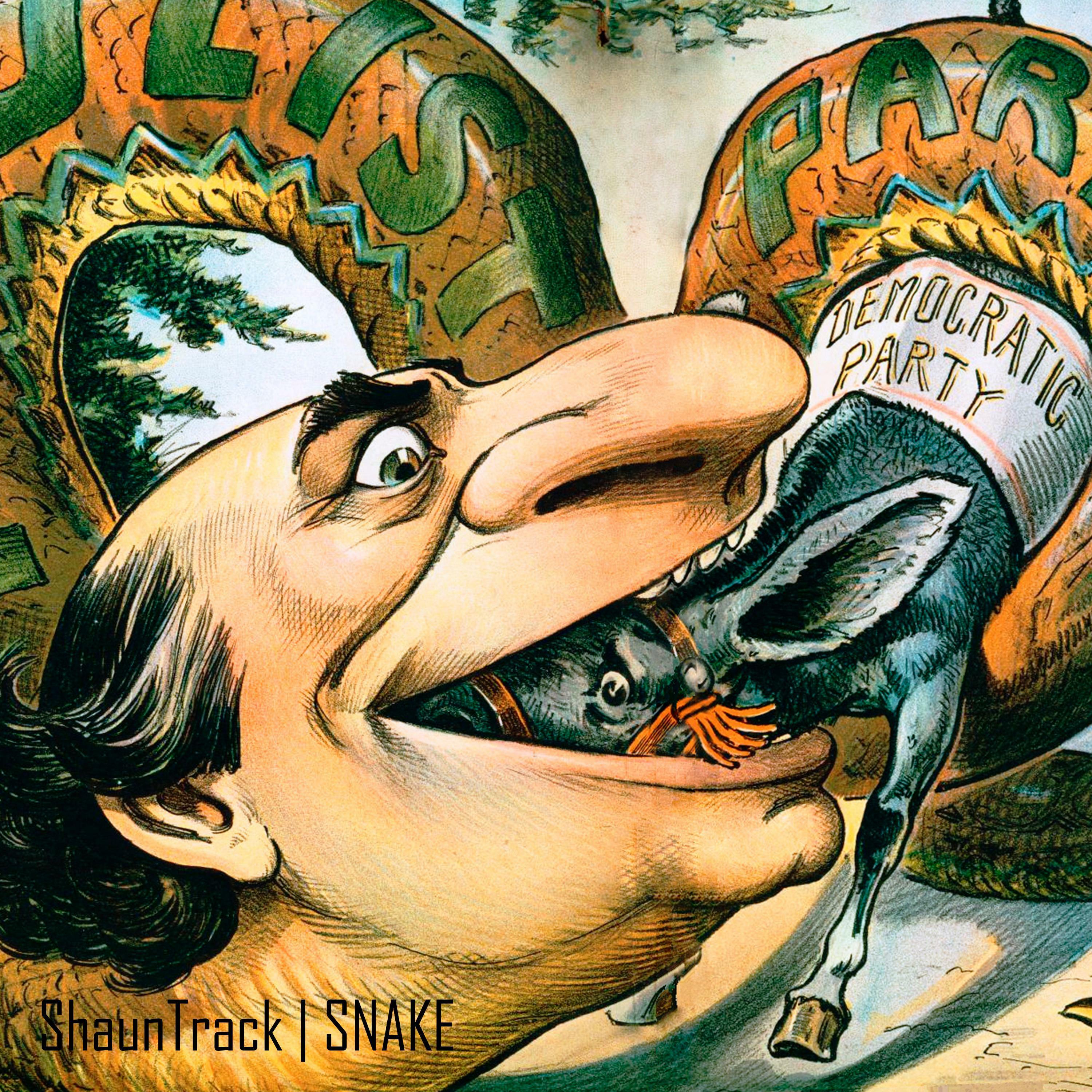Track Image