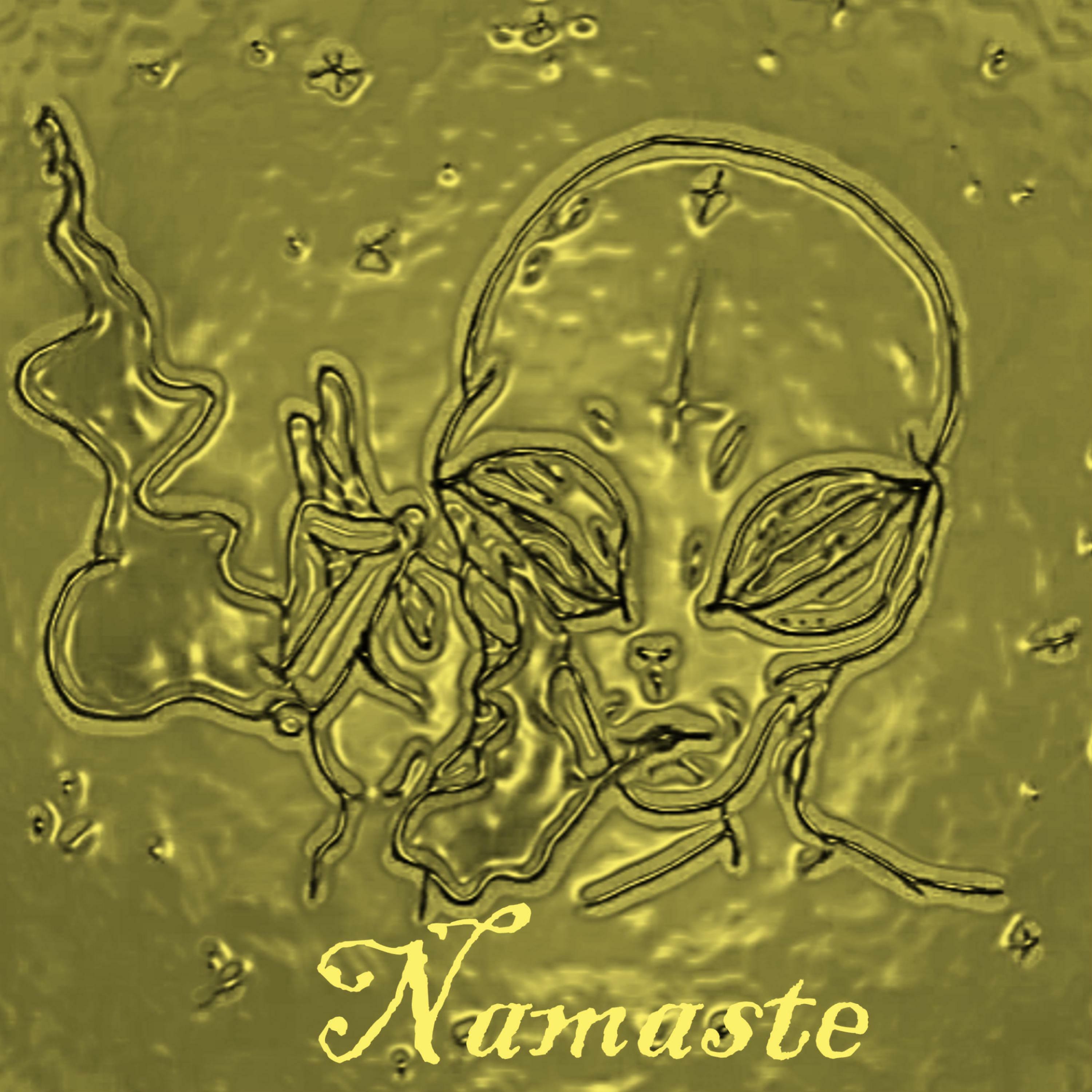 Track Image