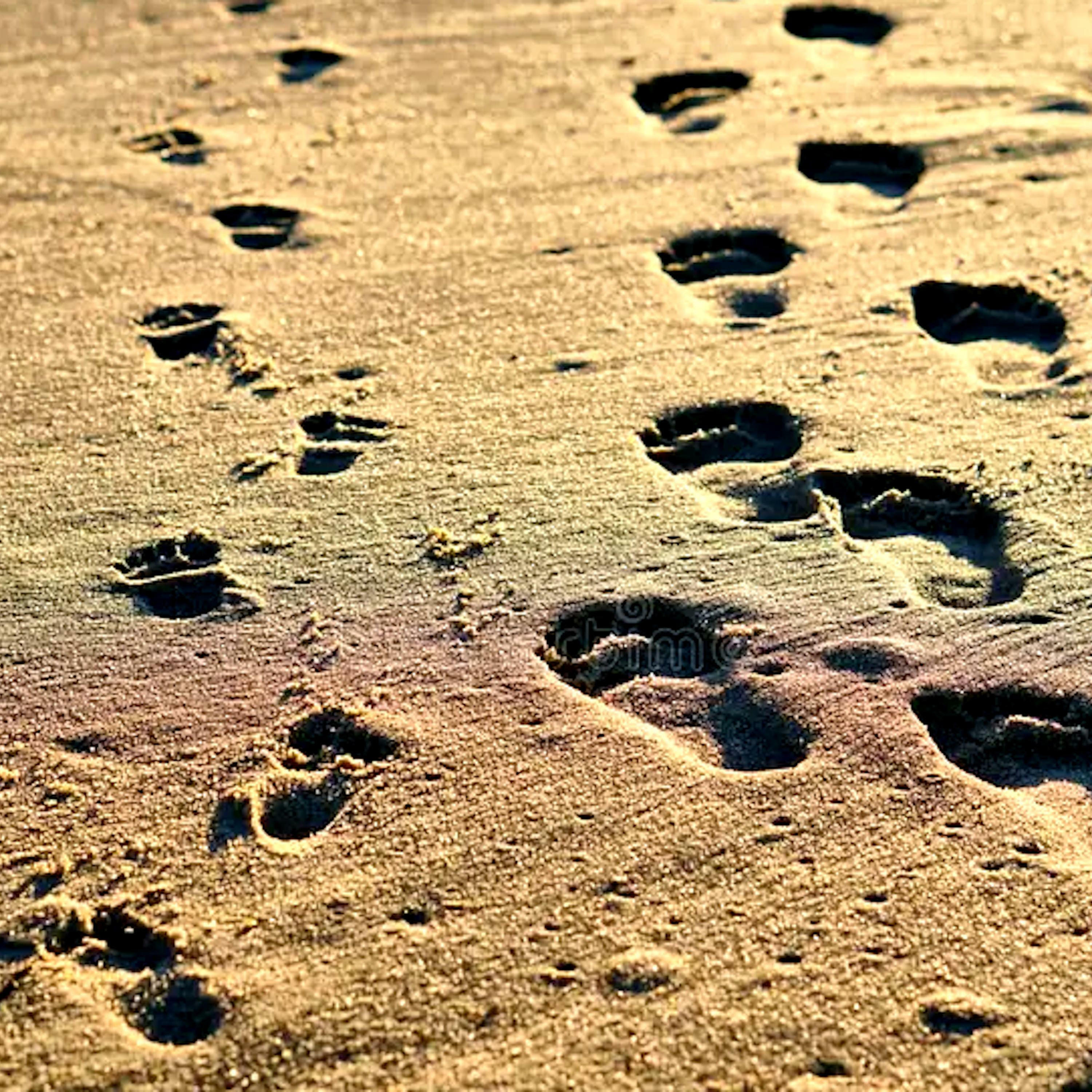 Track Image