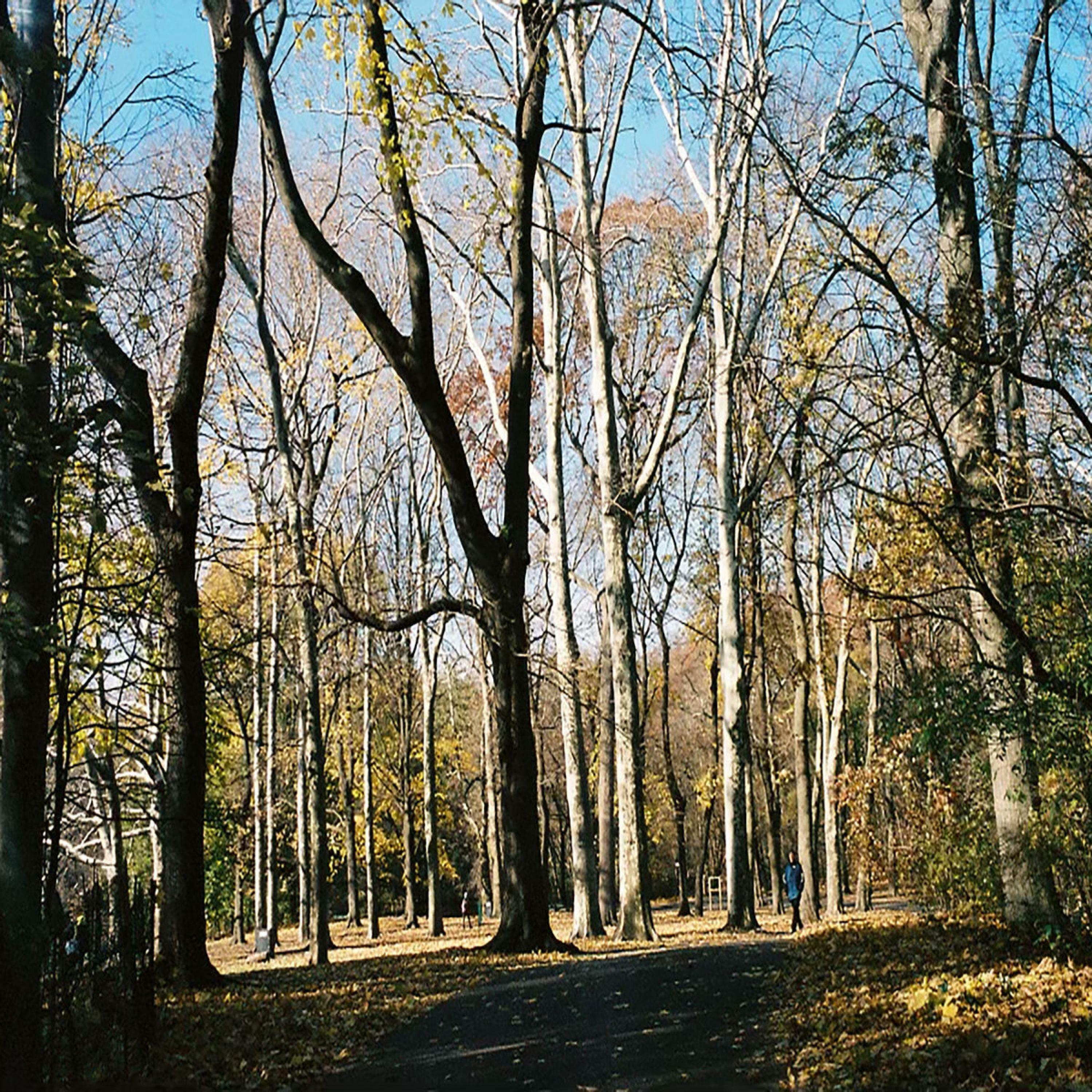 Track Image