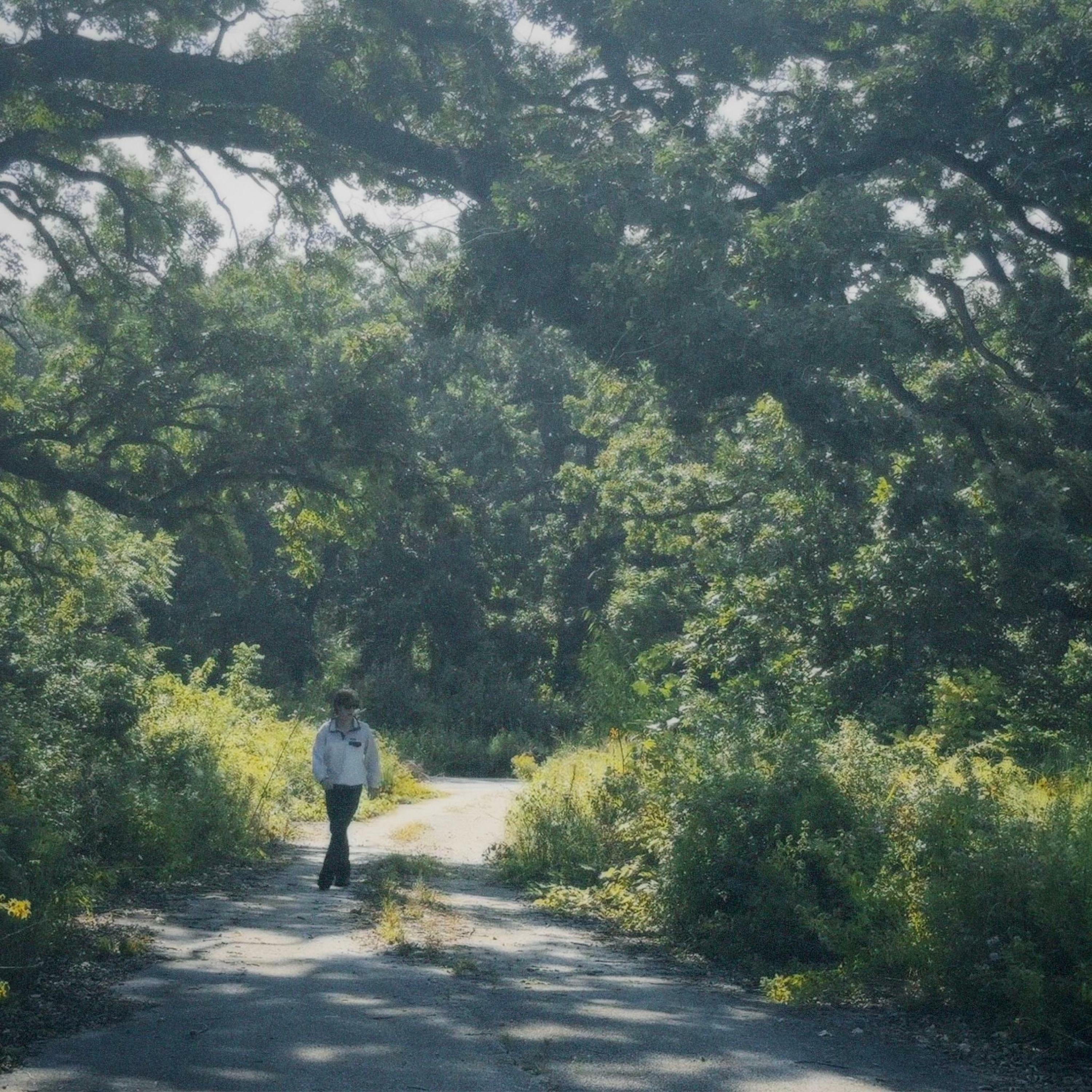 Track Image