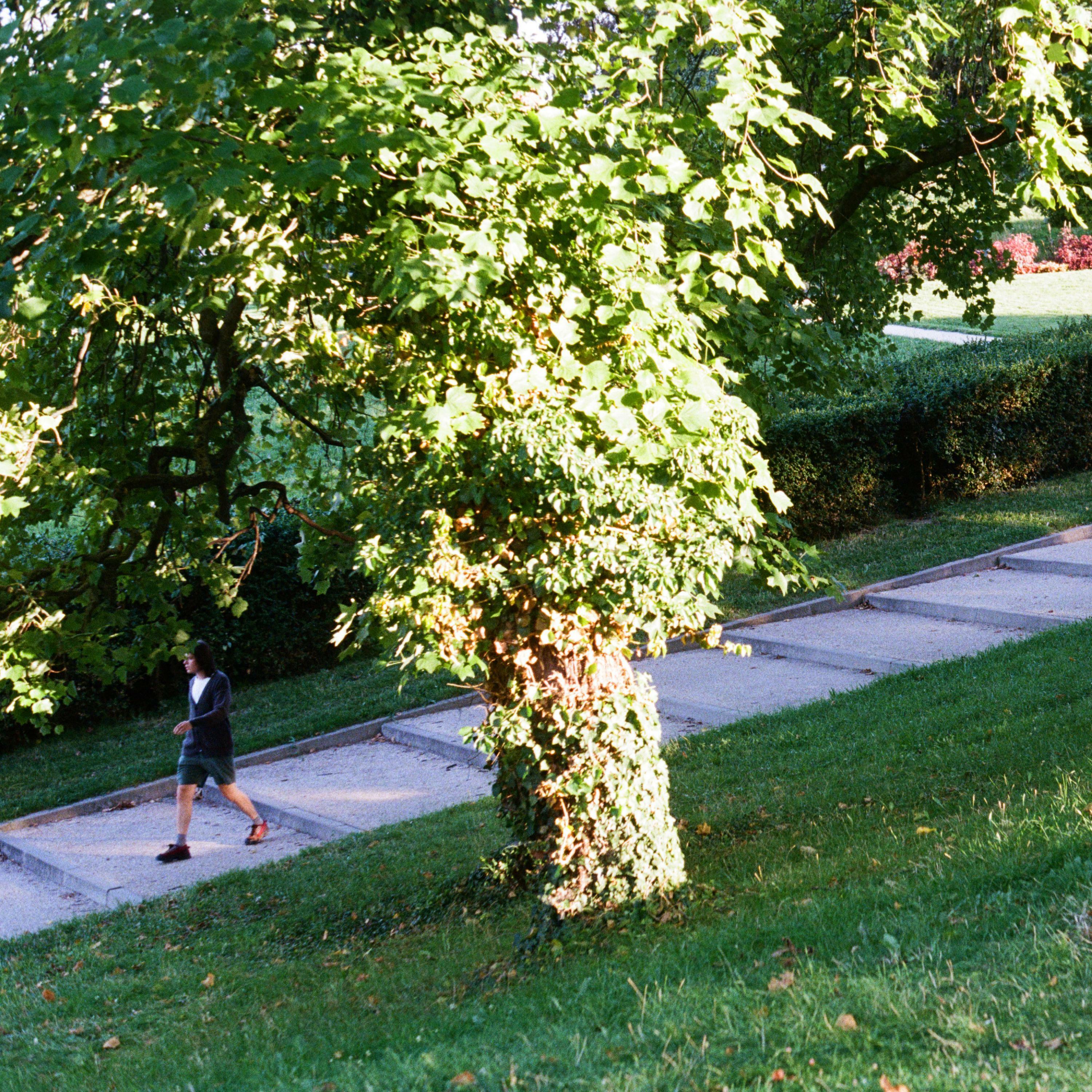 Track Image