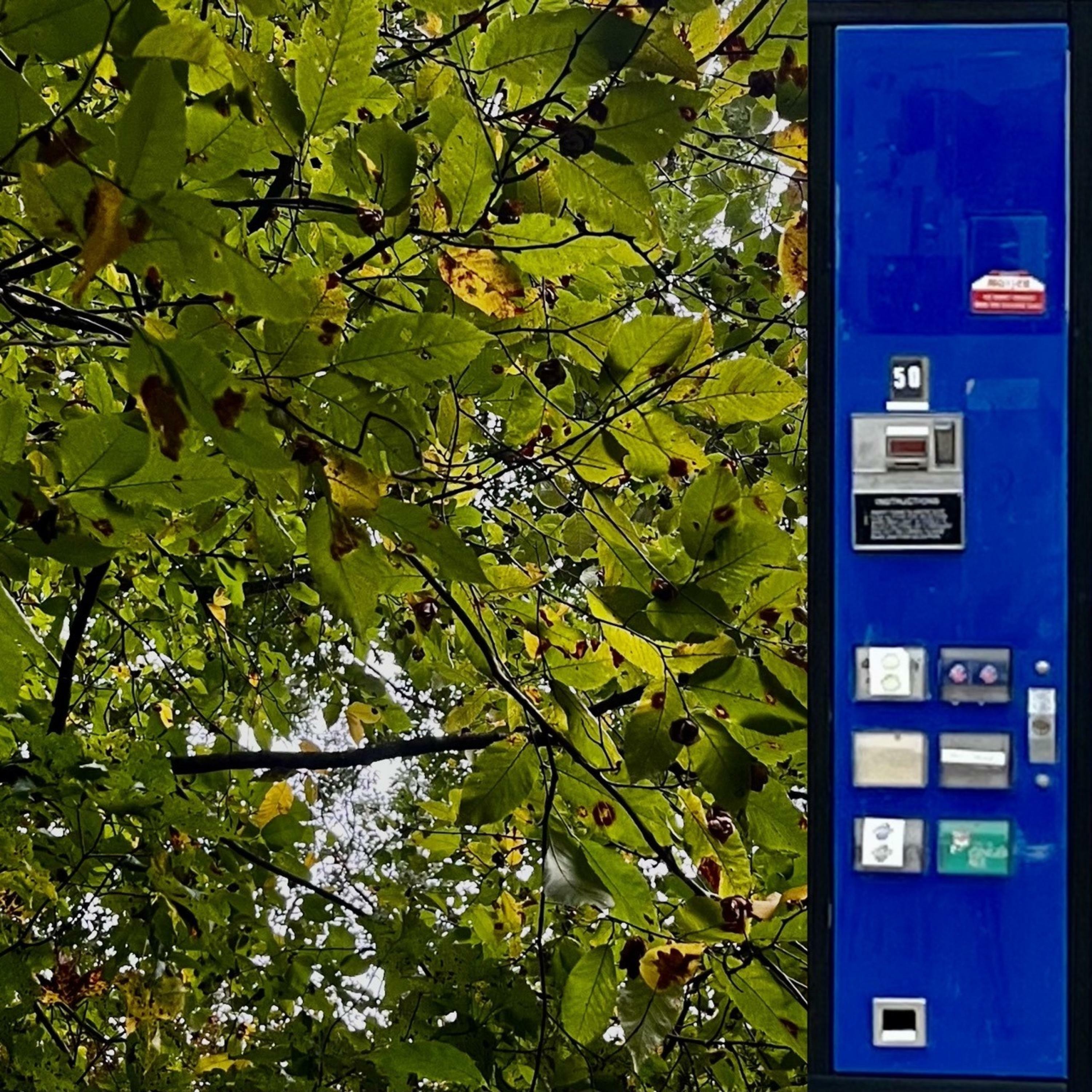 Track Image