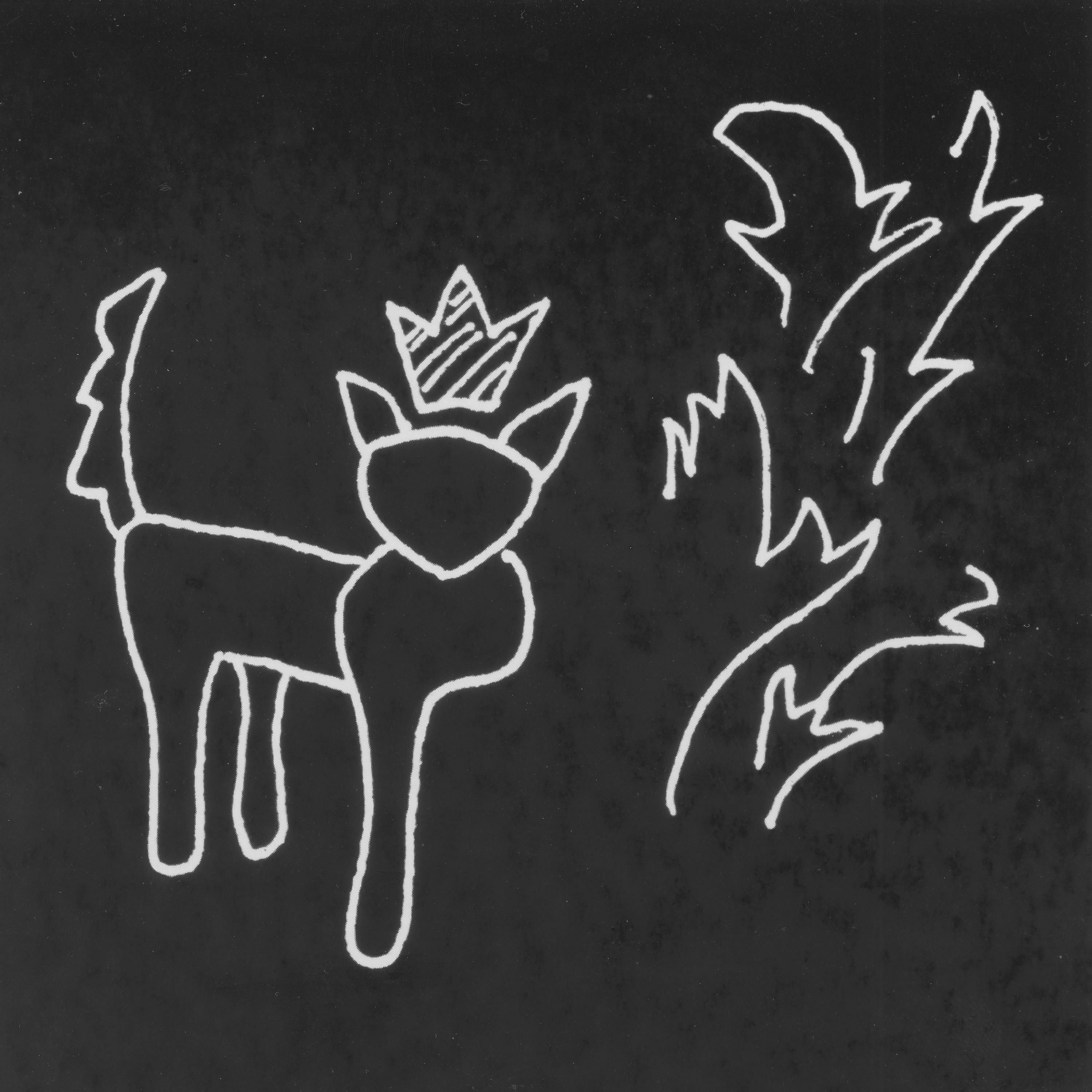 Track Image