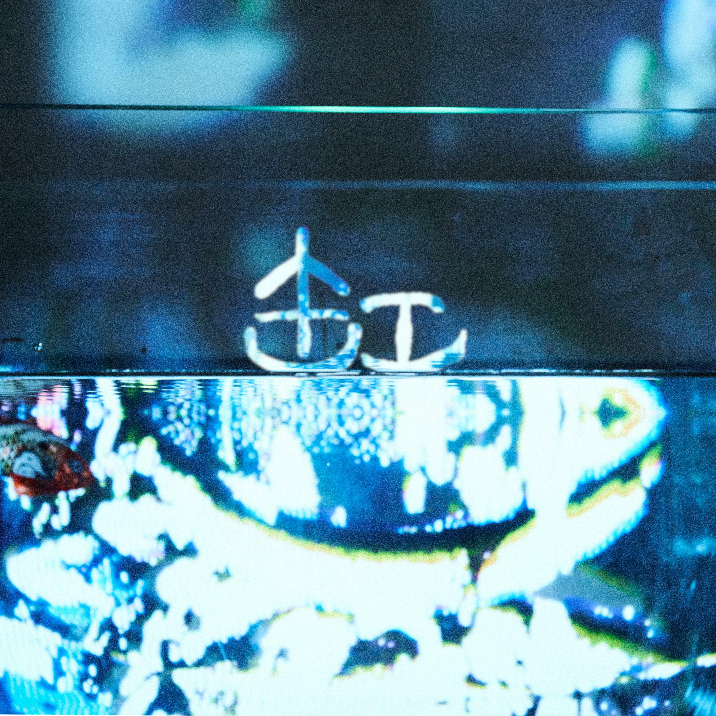 Track Image