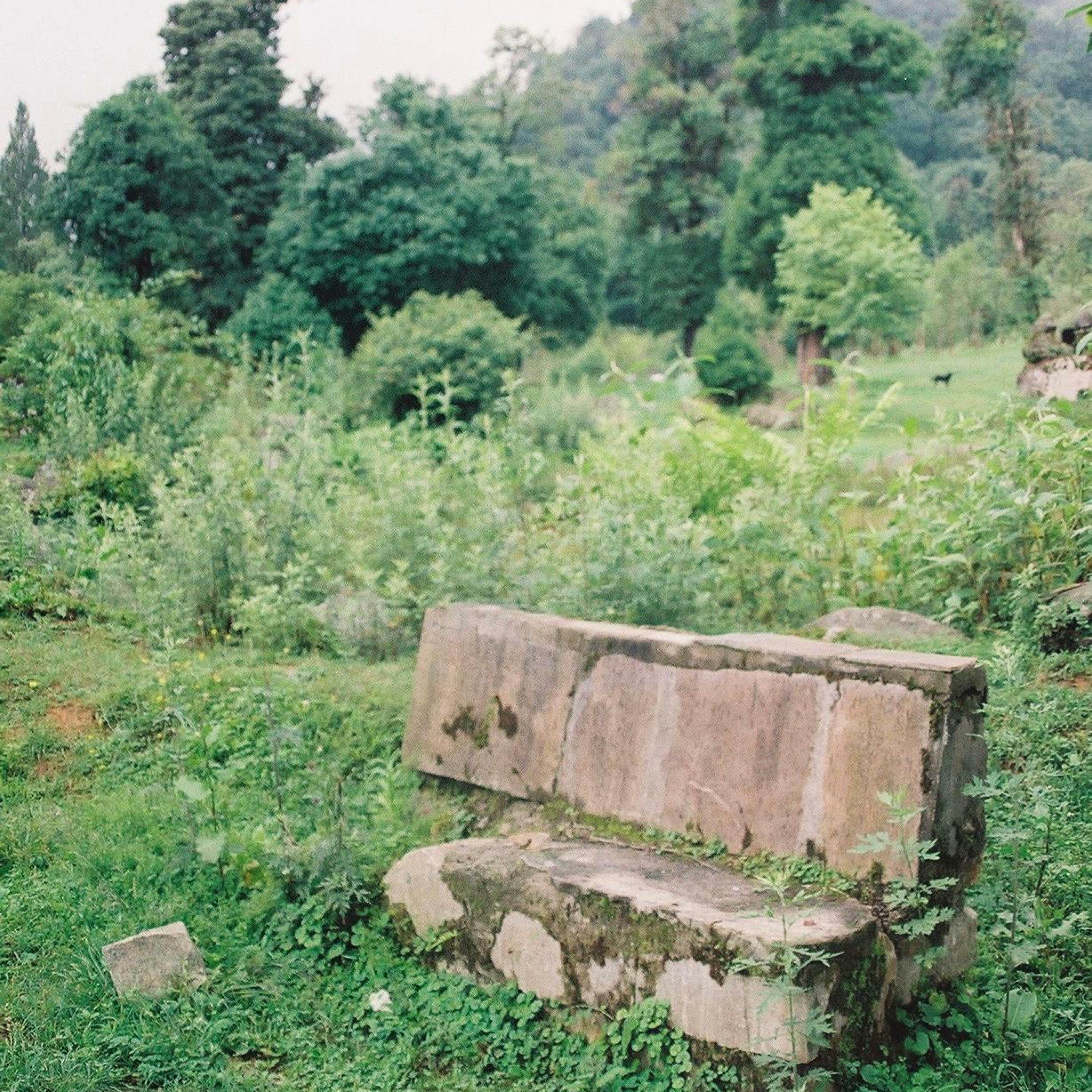 Track Image