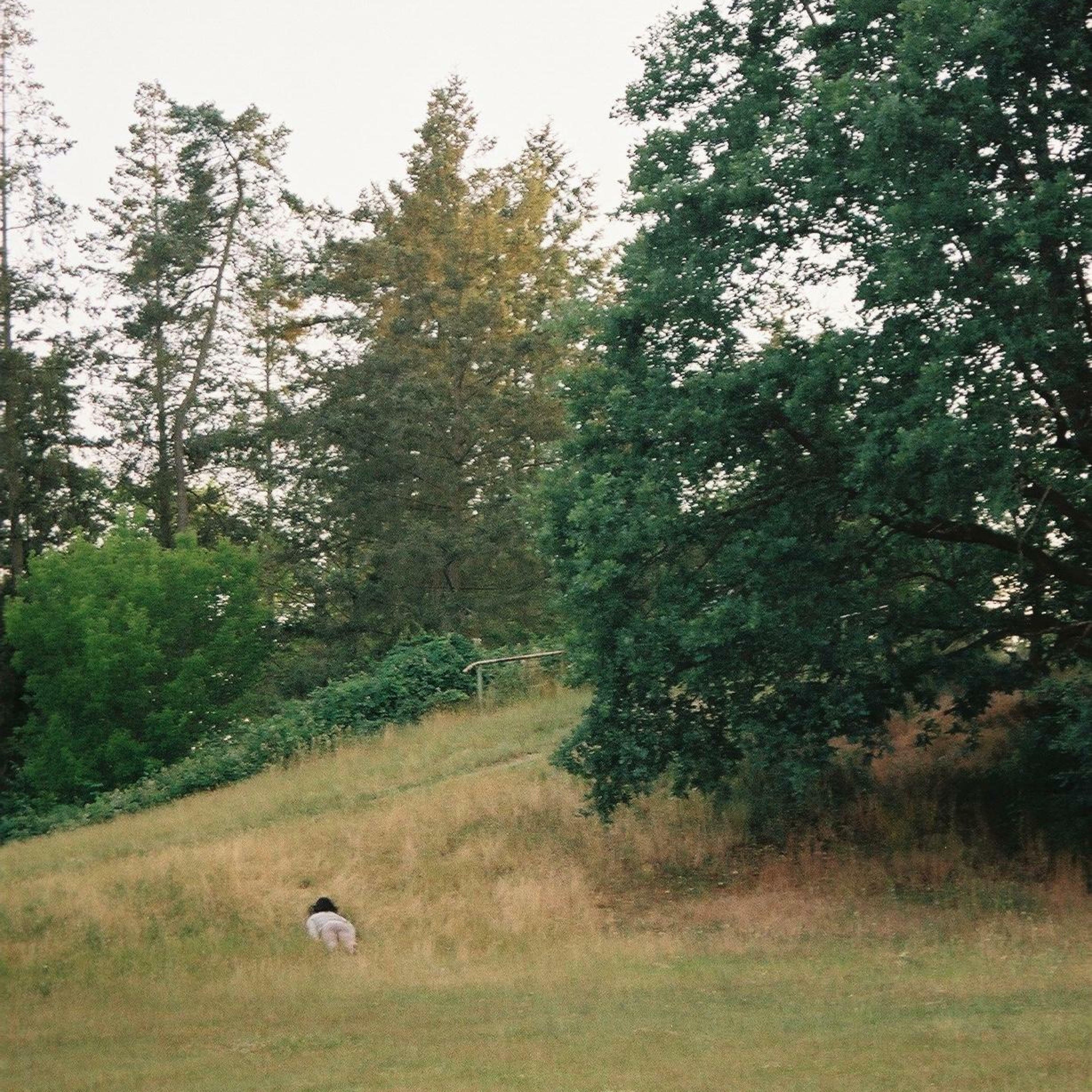 Track Image
