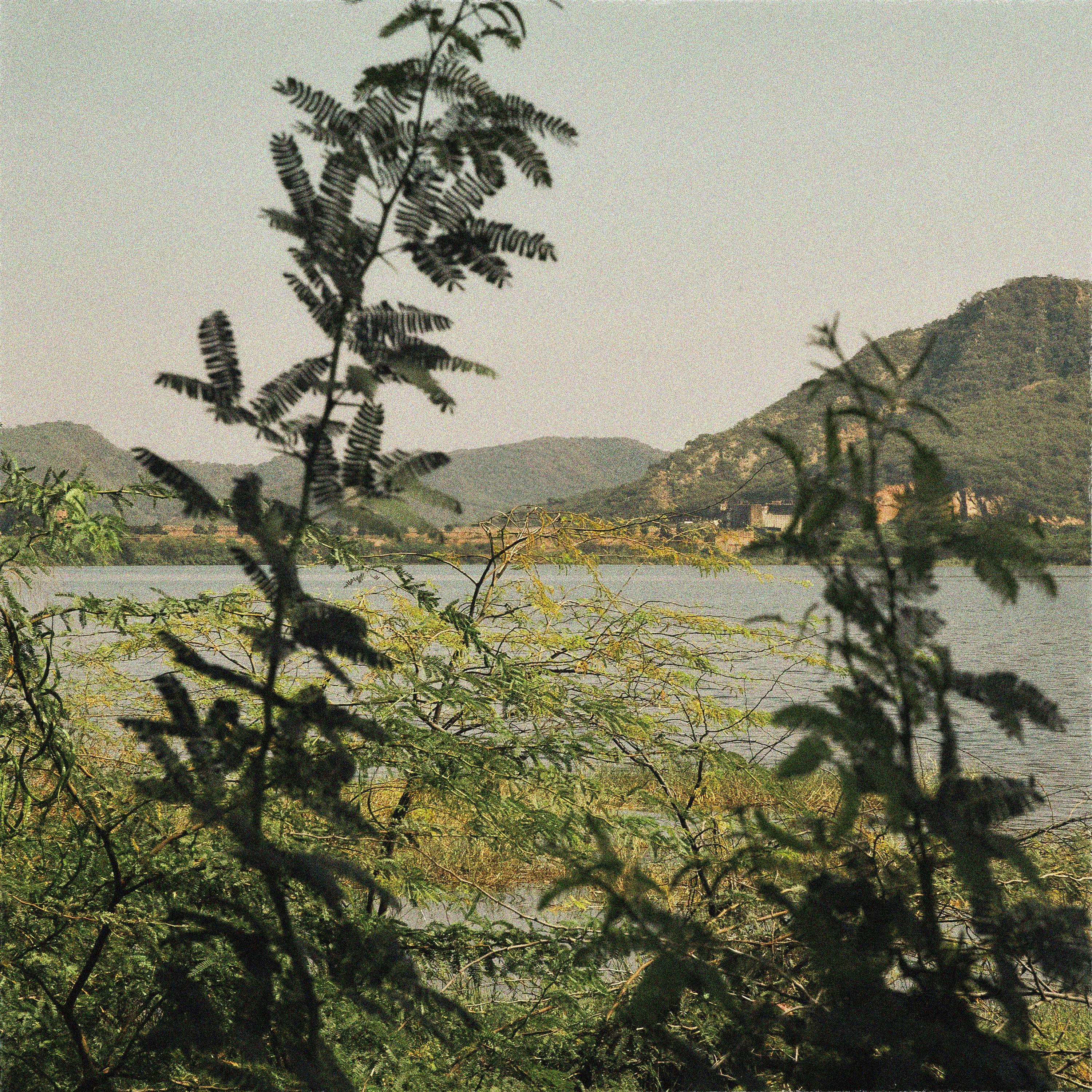 Track Image