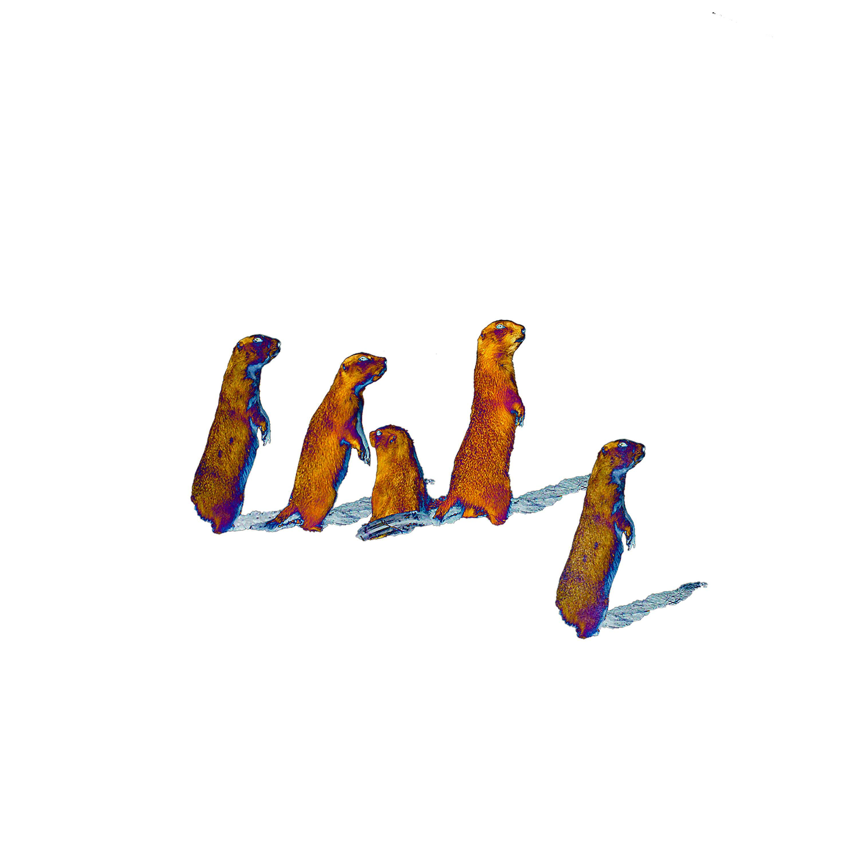Track Image