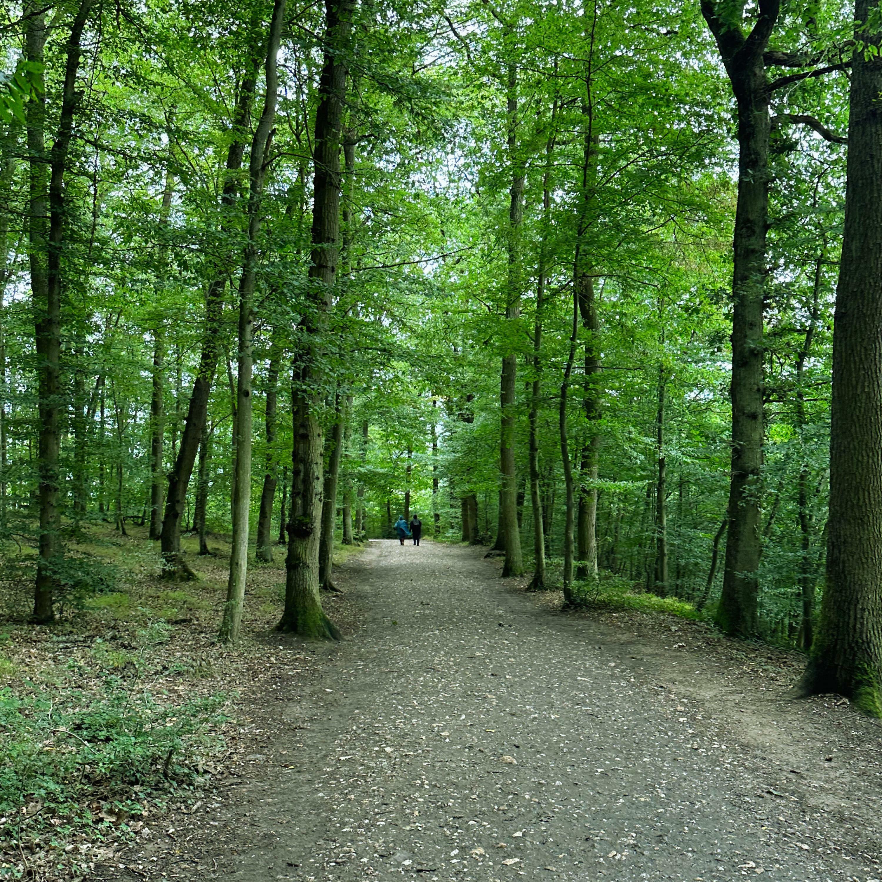 Track Image