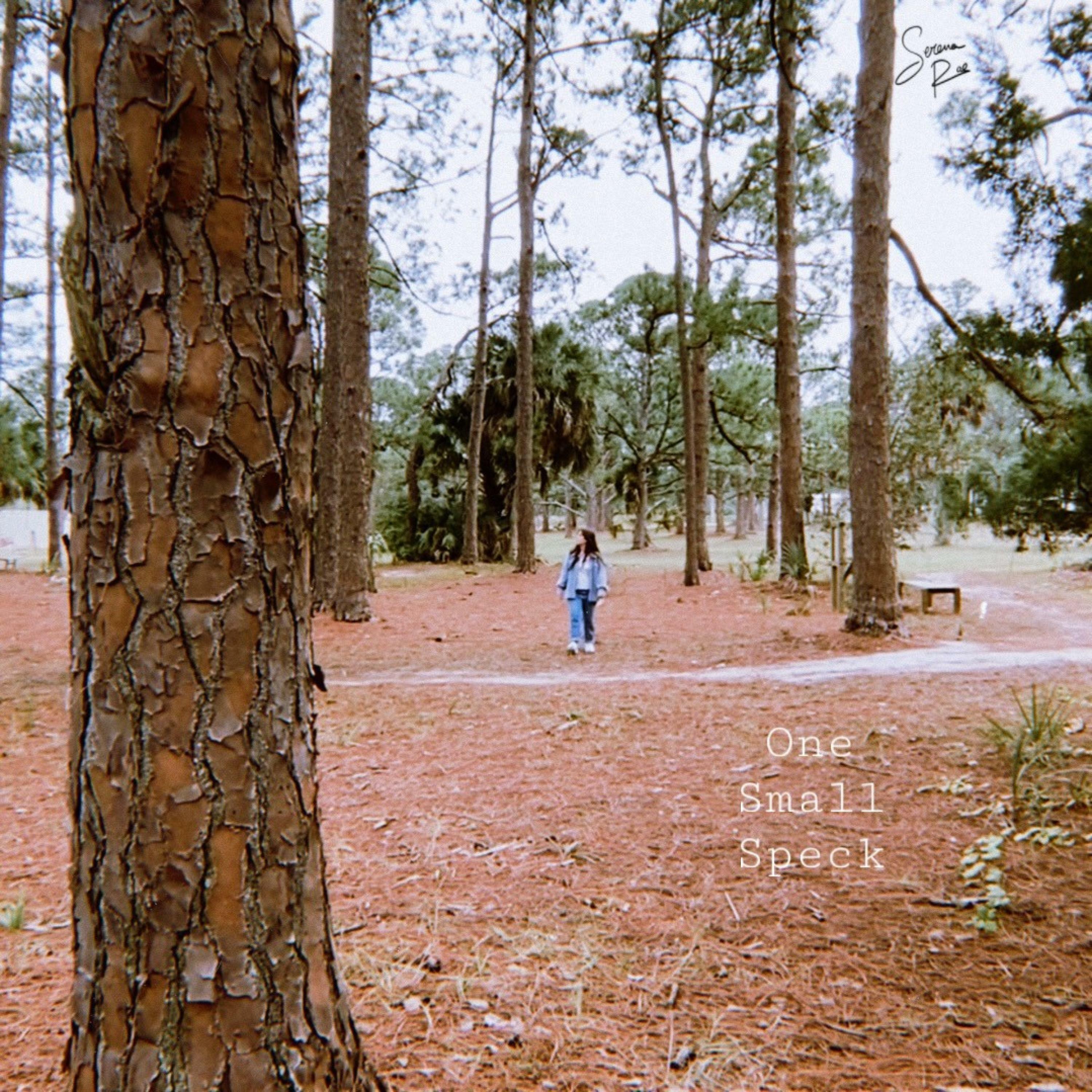 Track Image