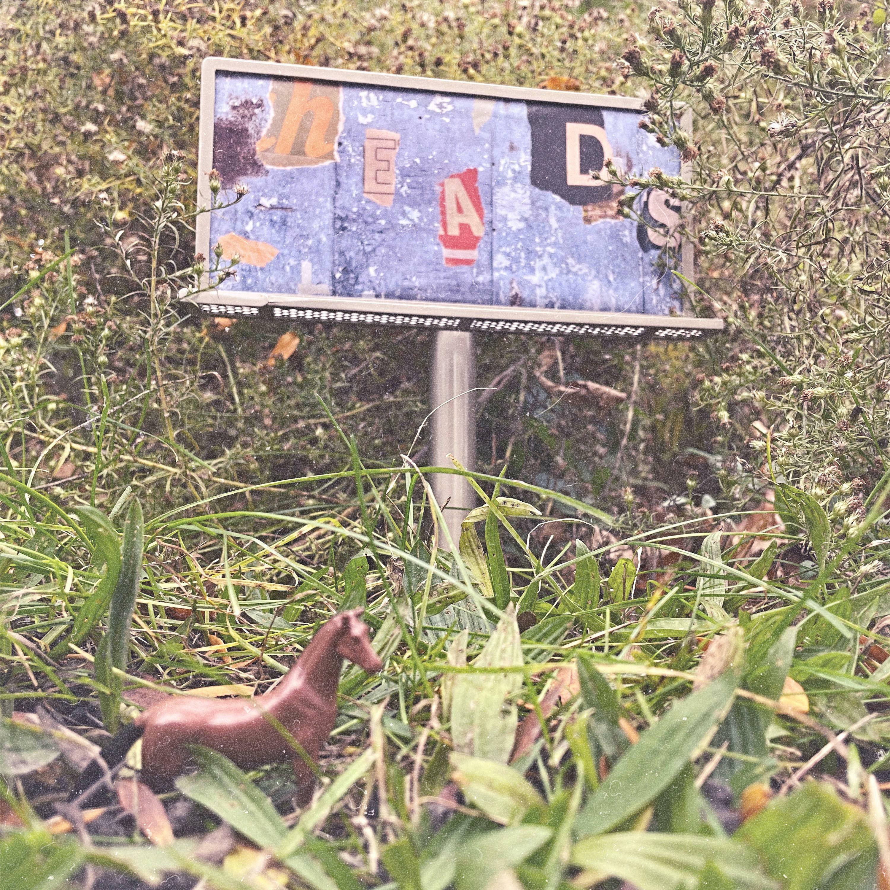Track Image