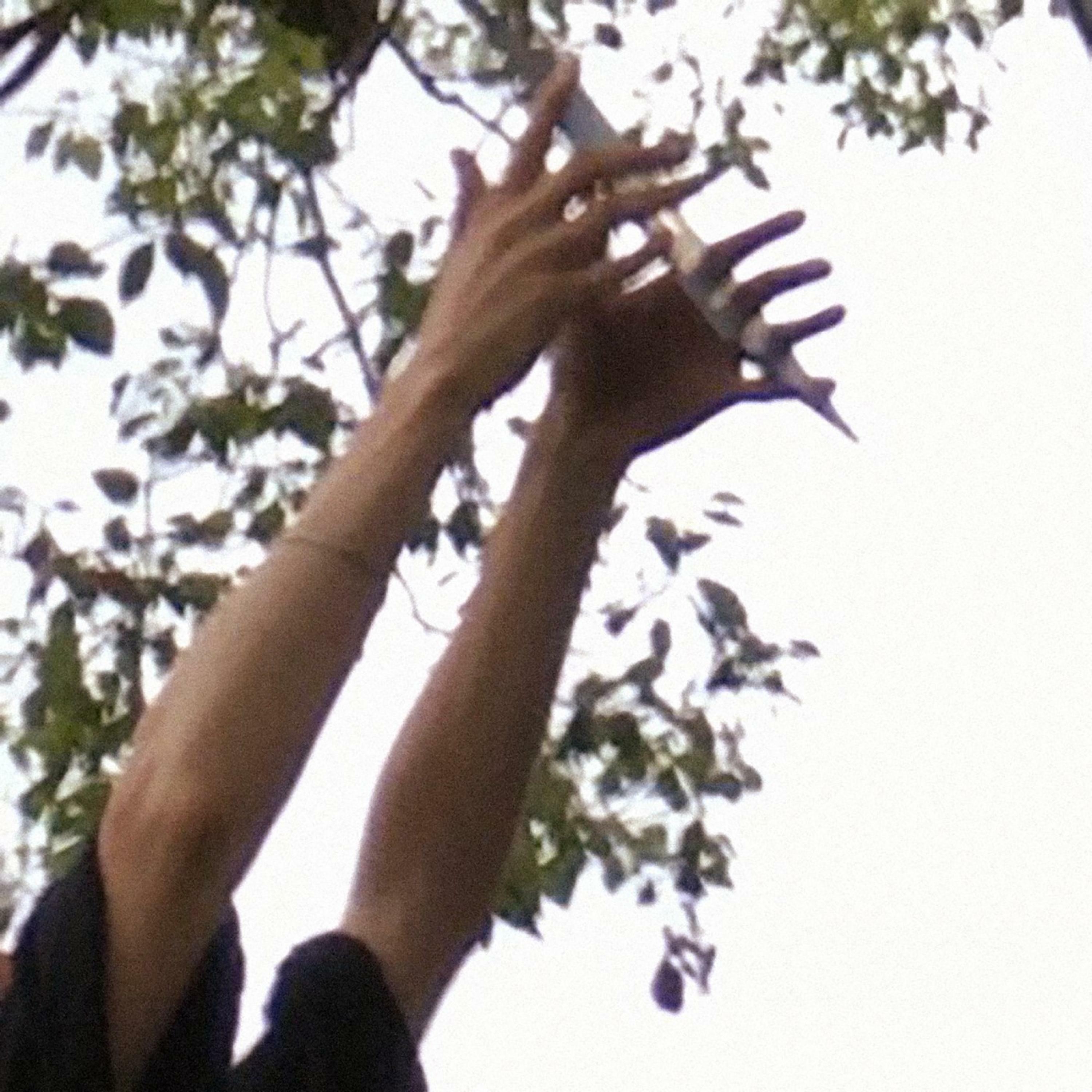 Track Image