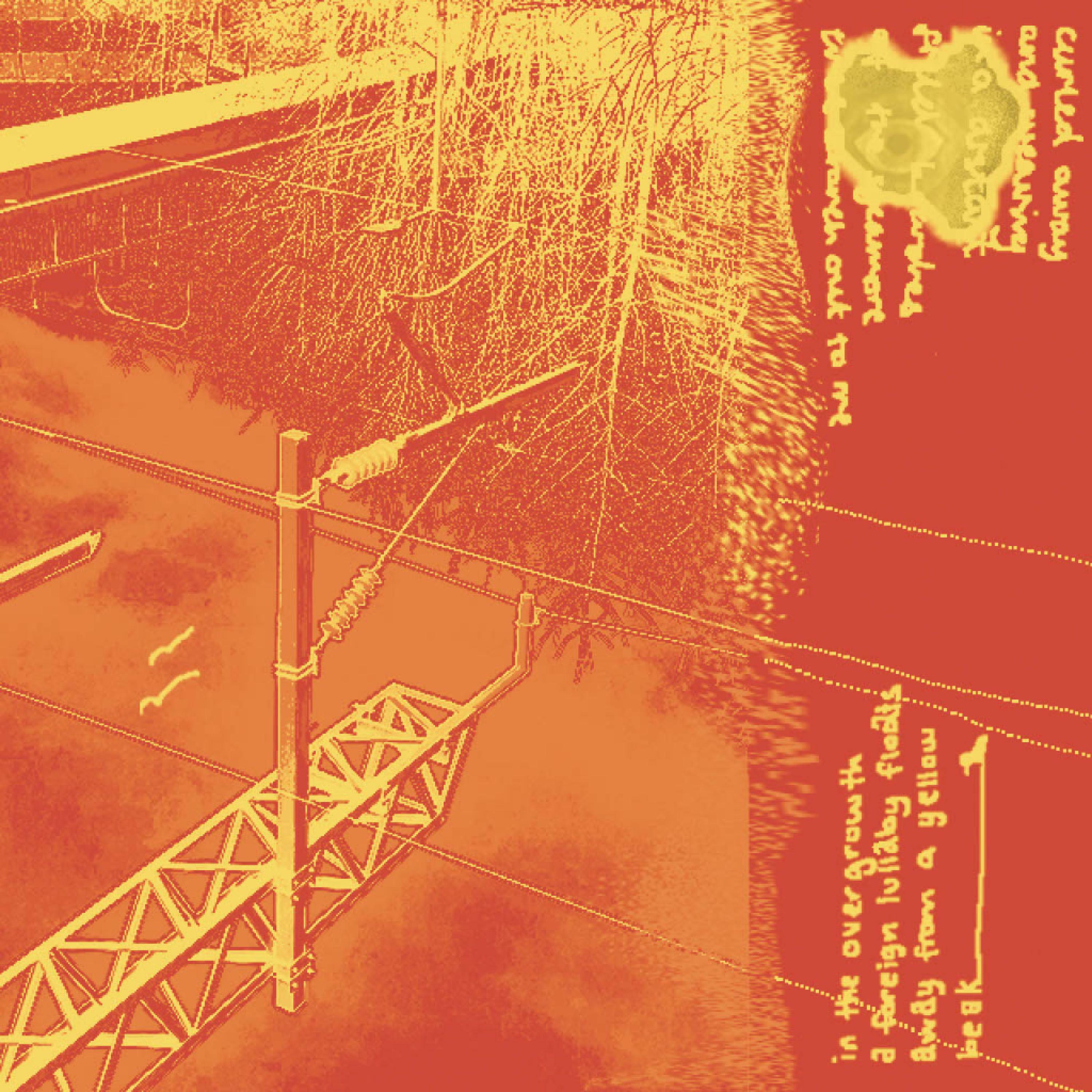 Track Image