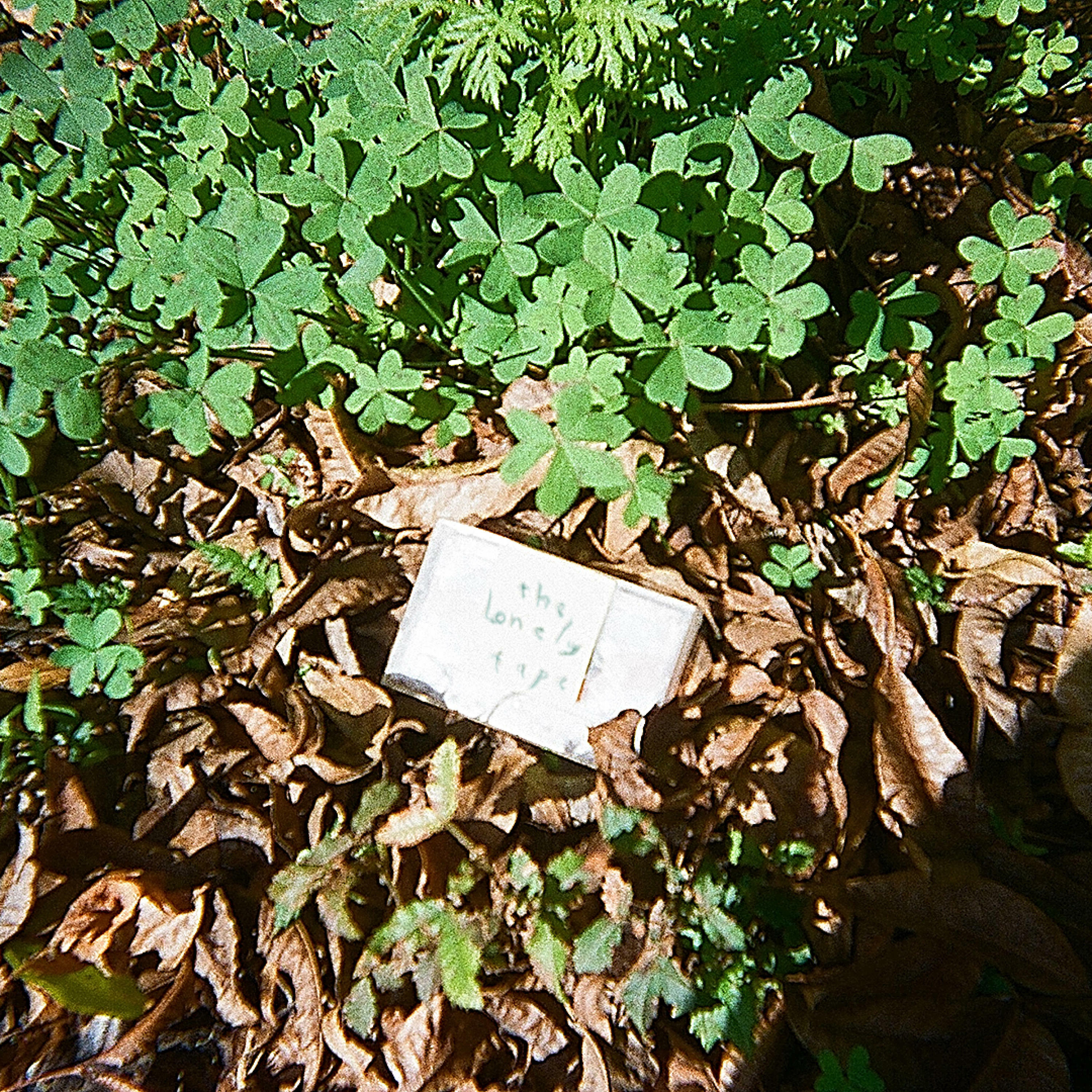 Track Image