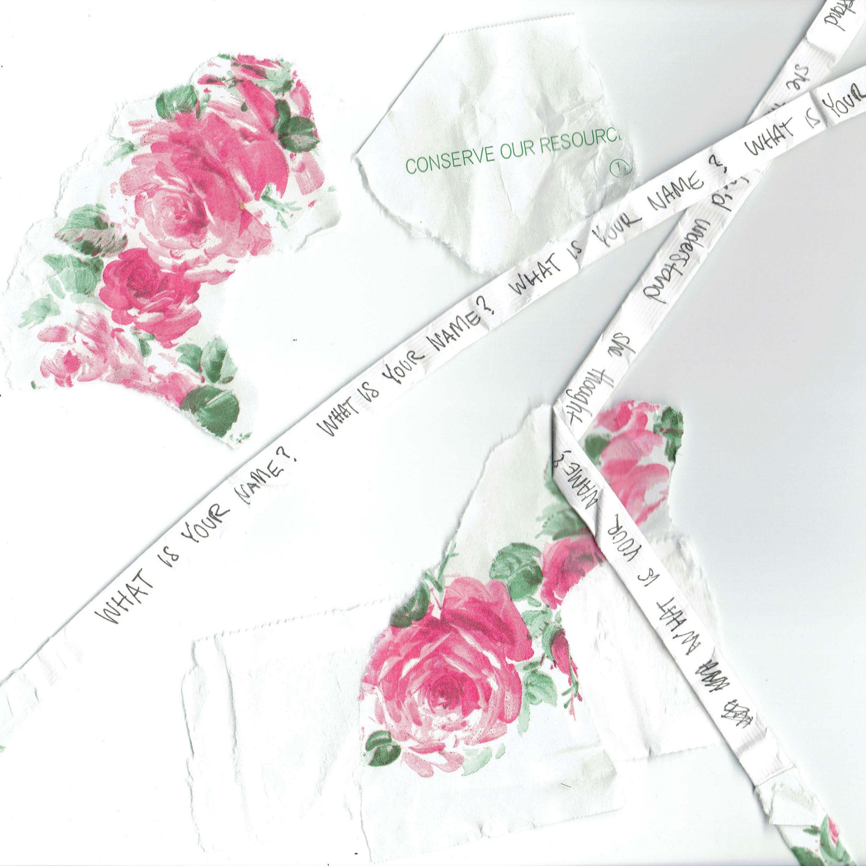 Track Image