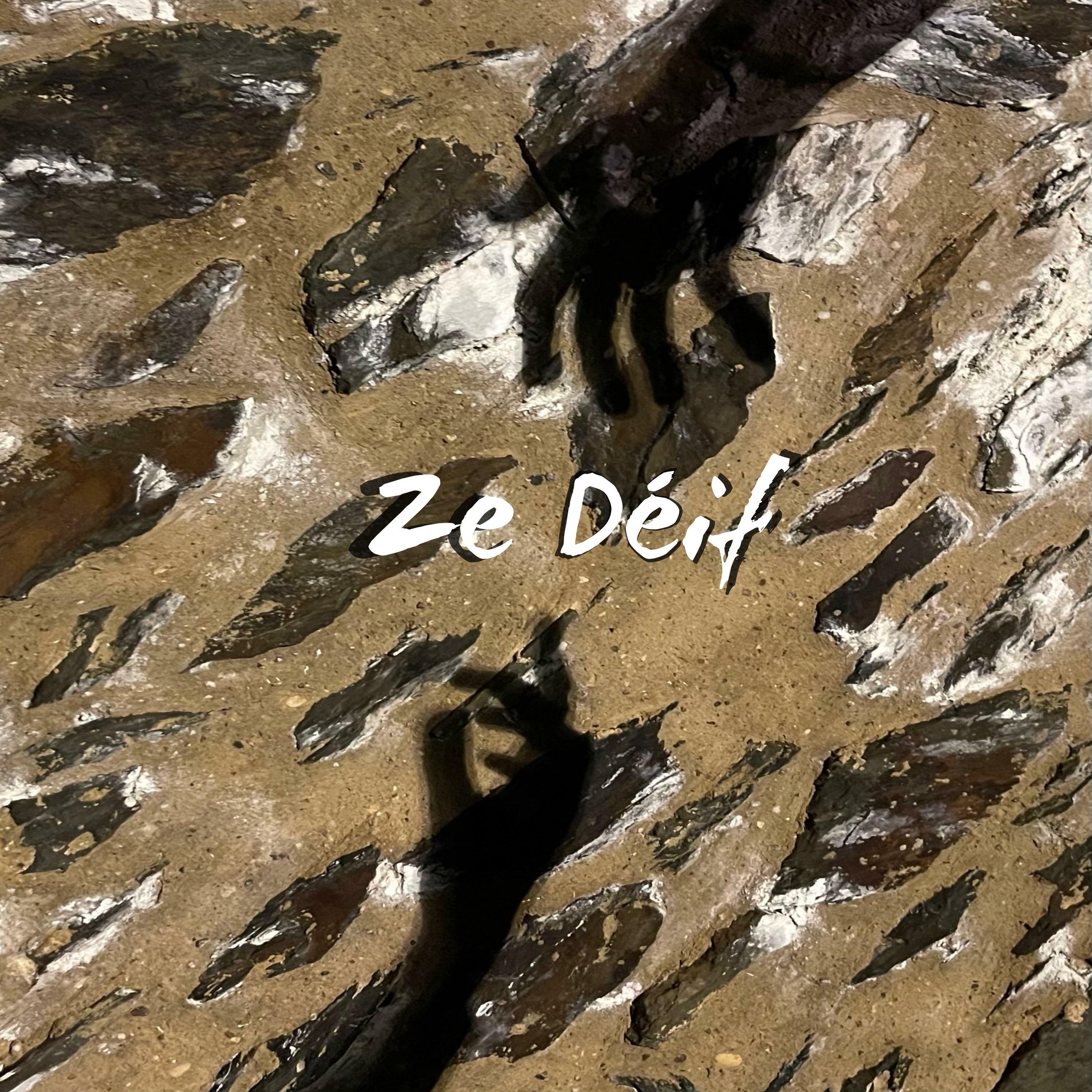 Track Image