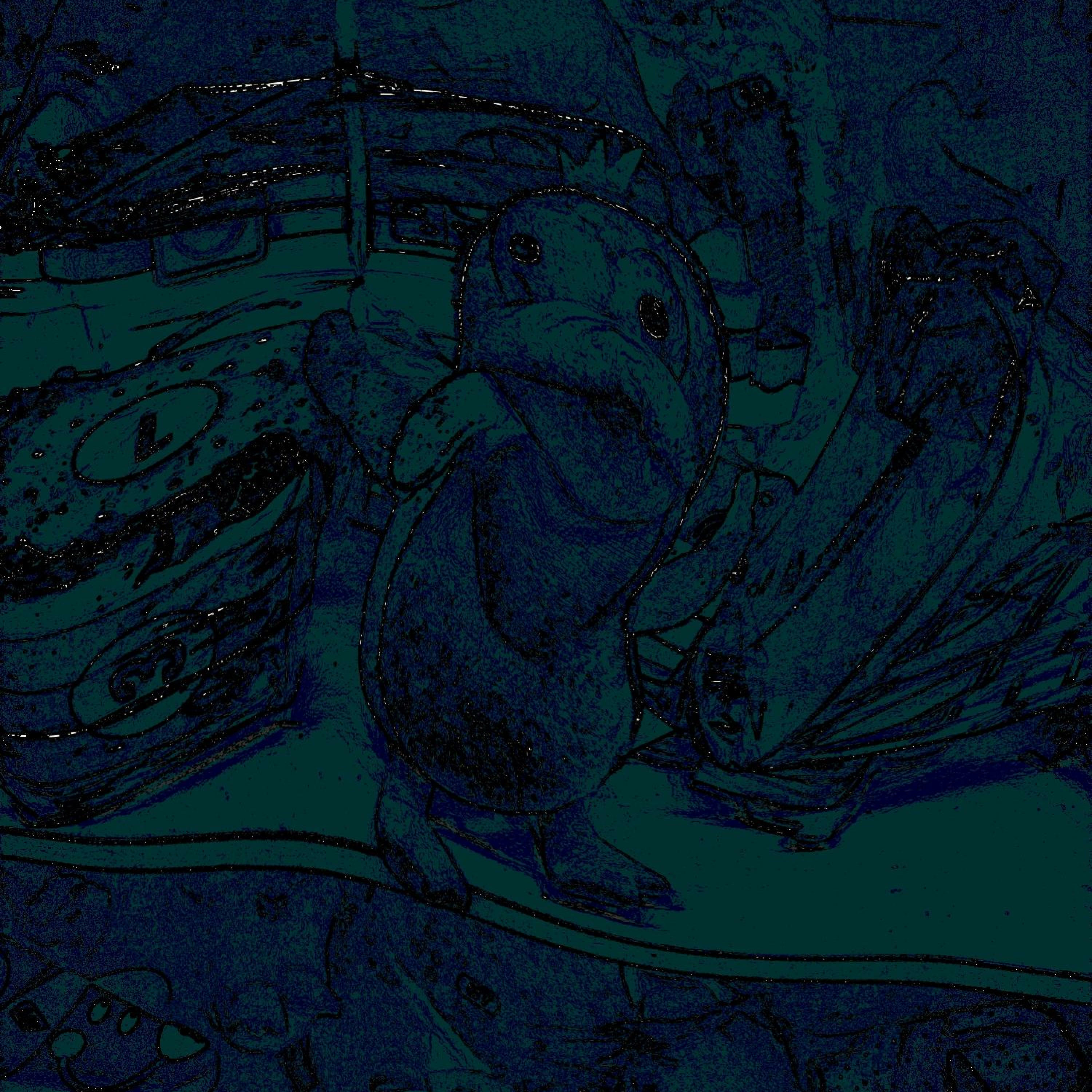 Track Image