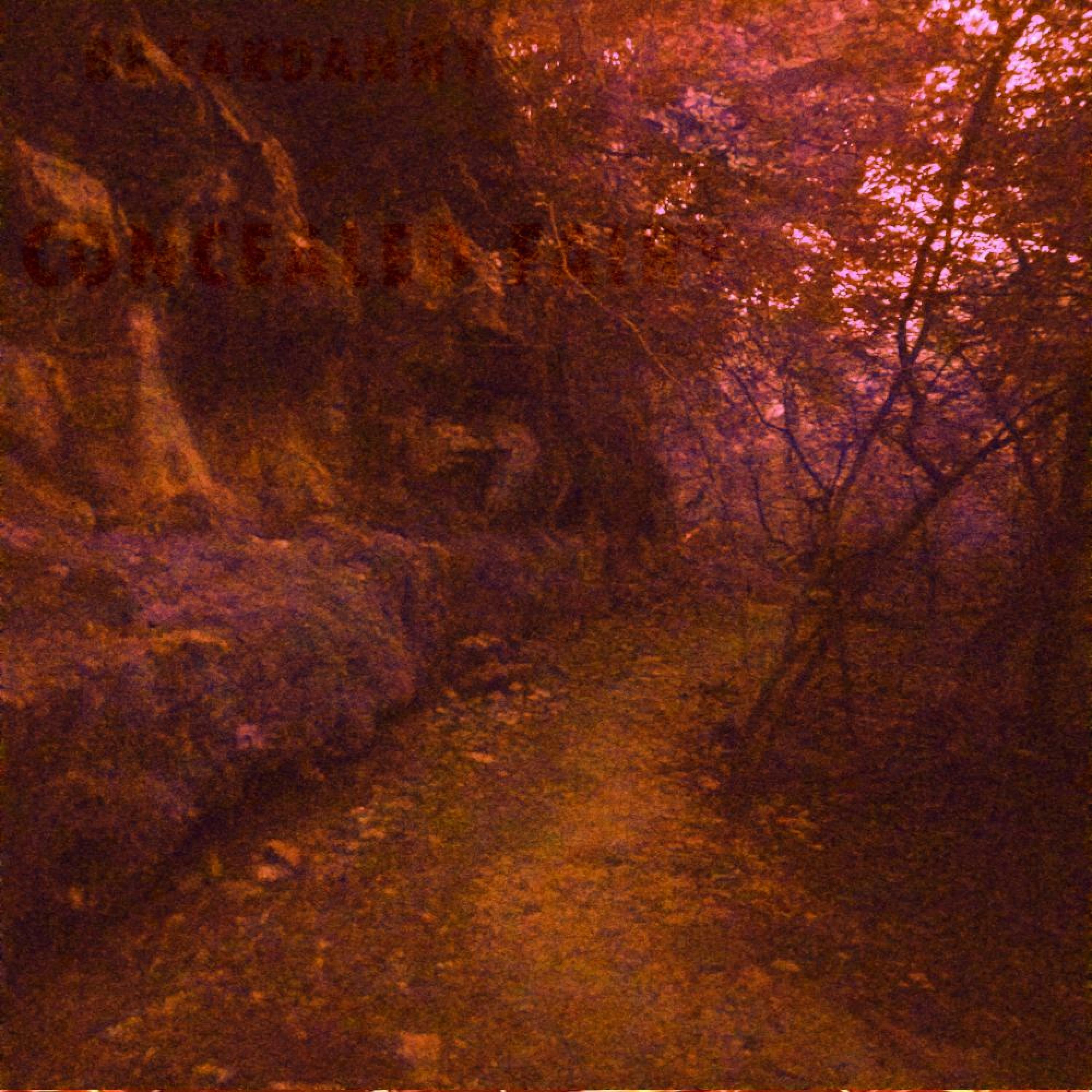 Track Image