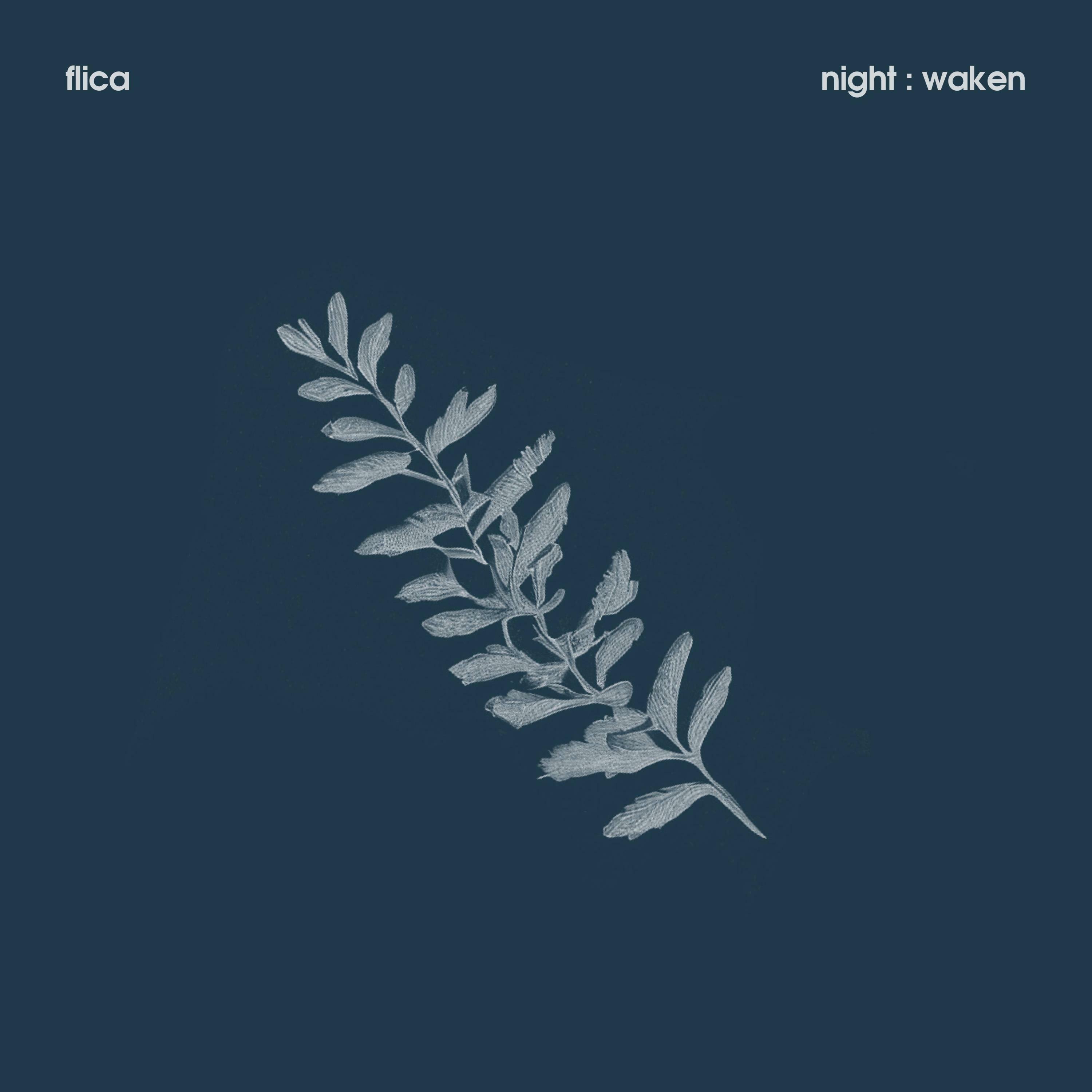 Track Image