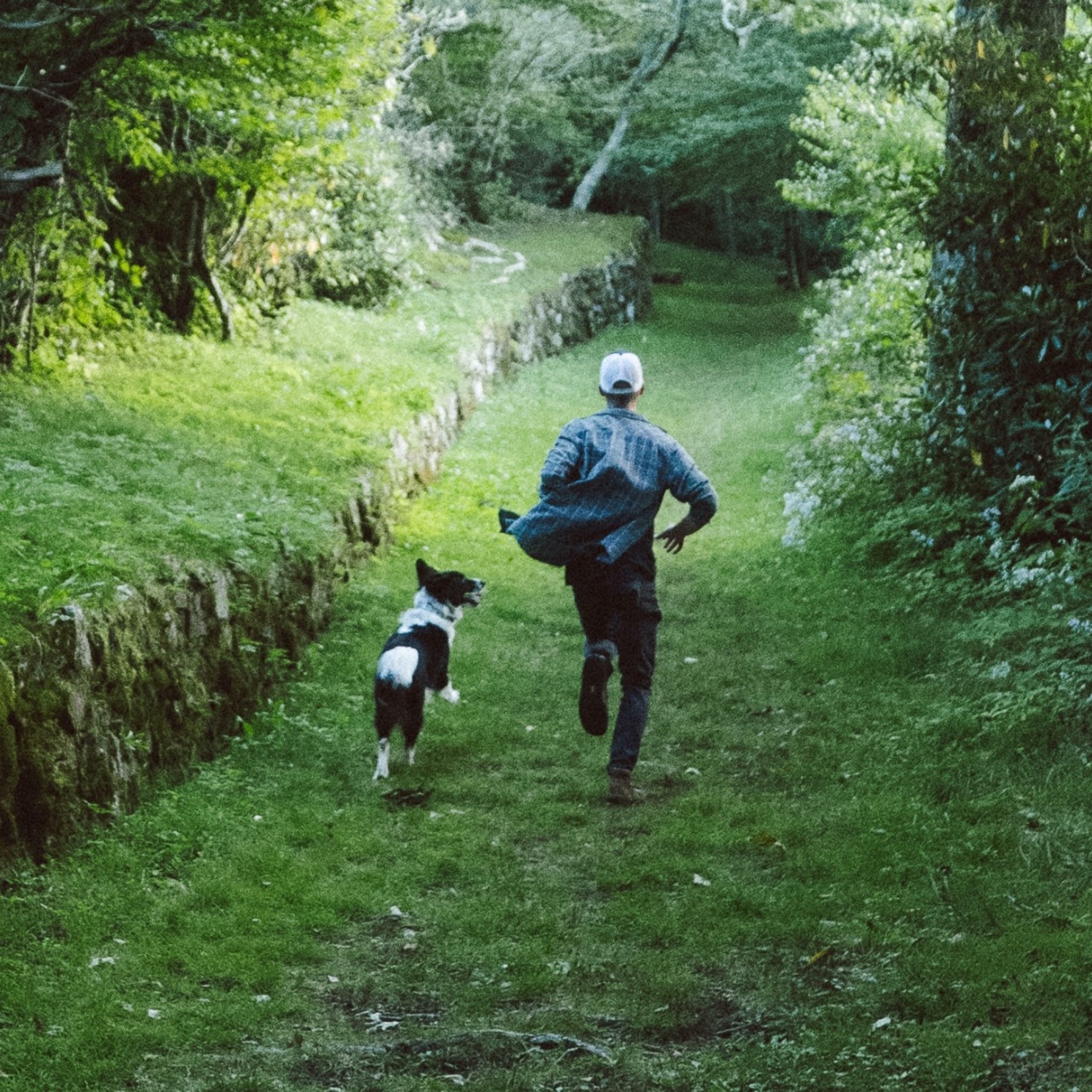 Track Image