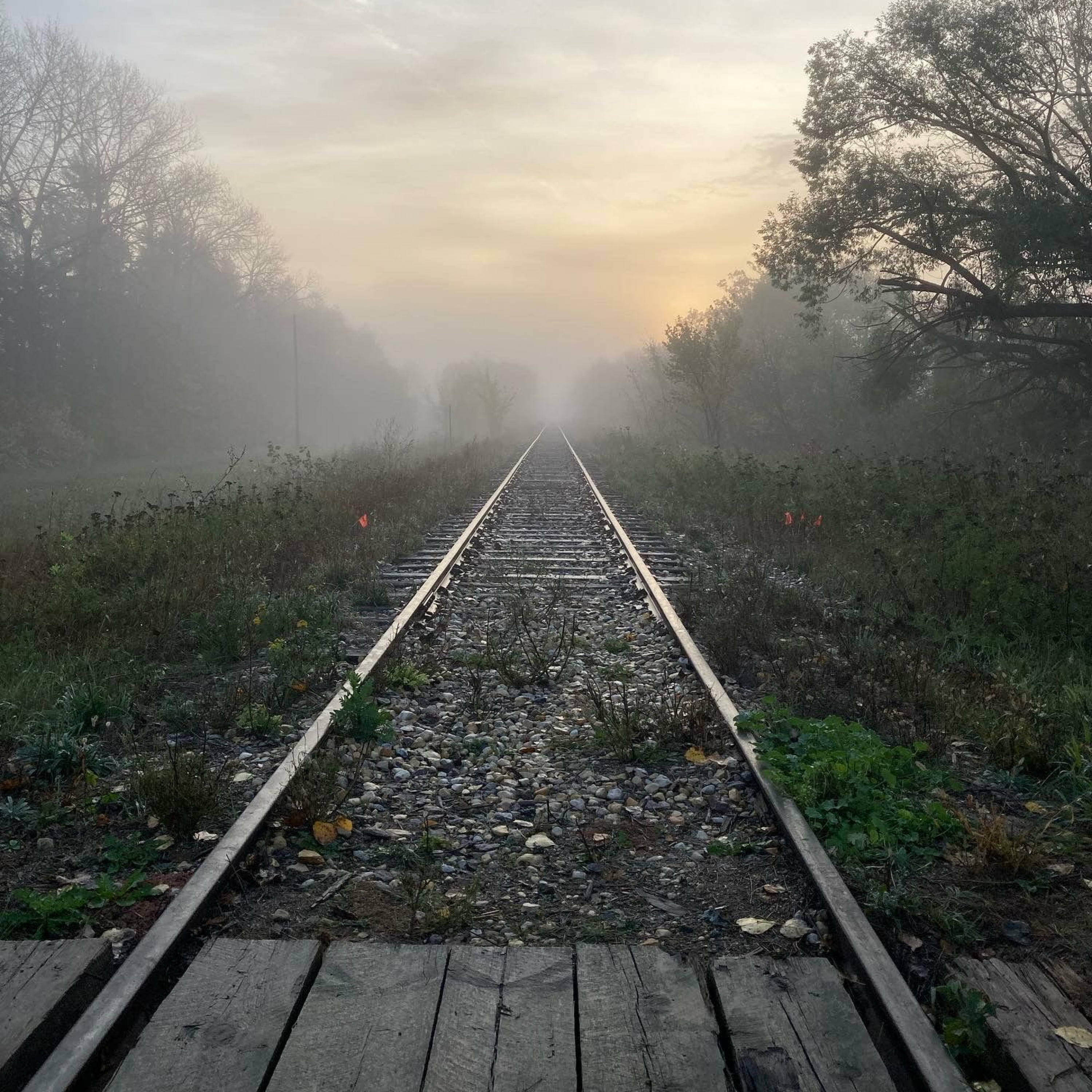 Track Image