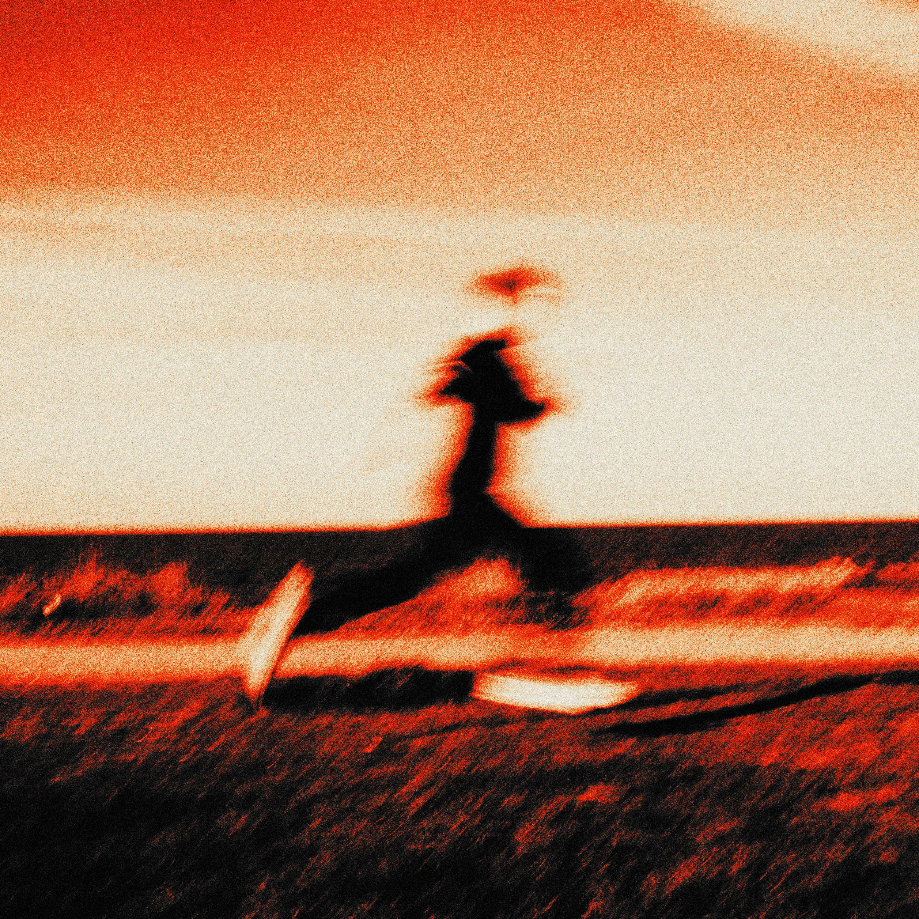 Track Image
