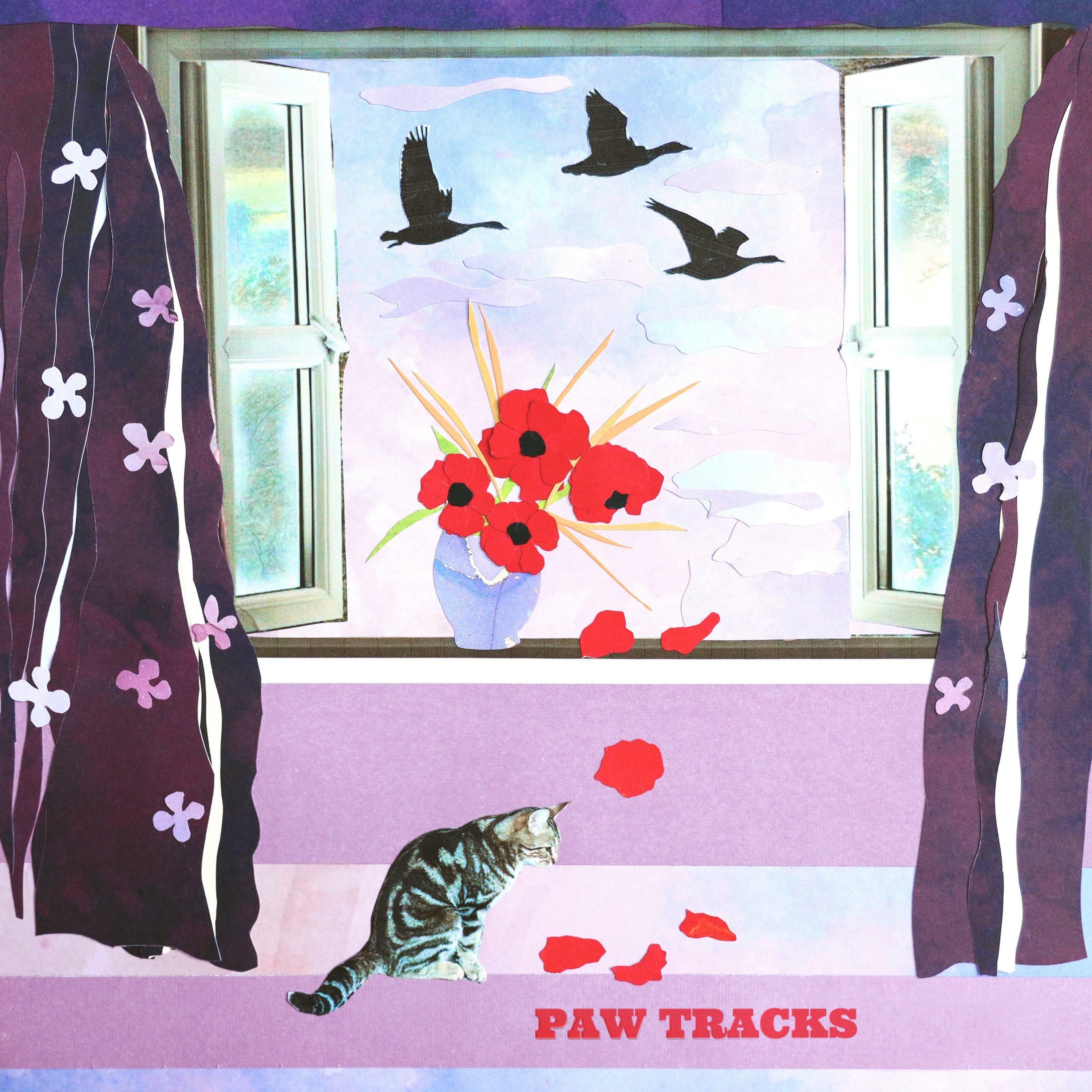 Track Image