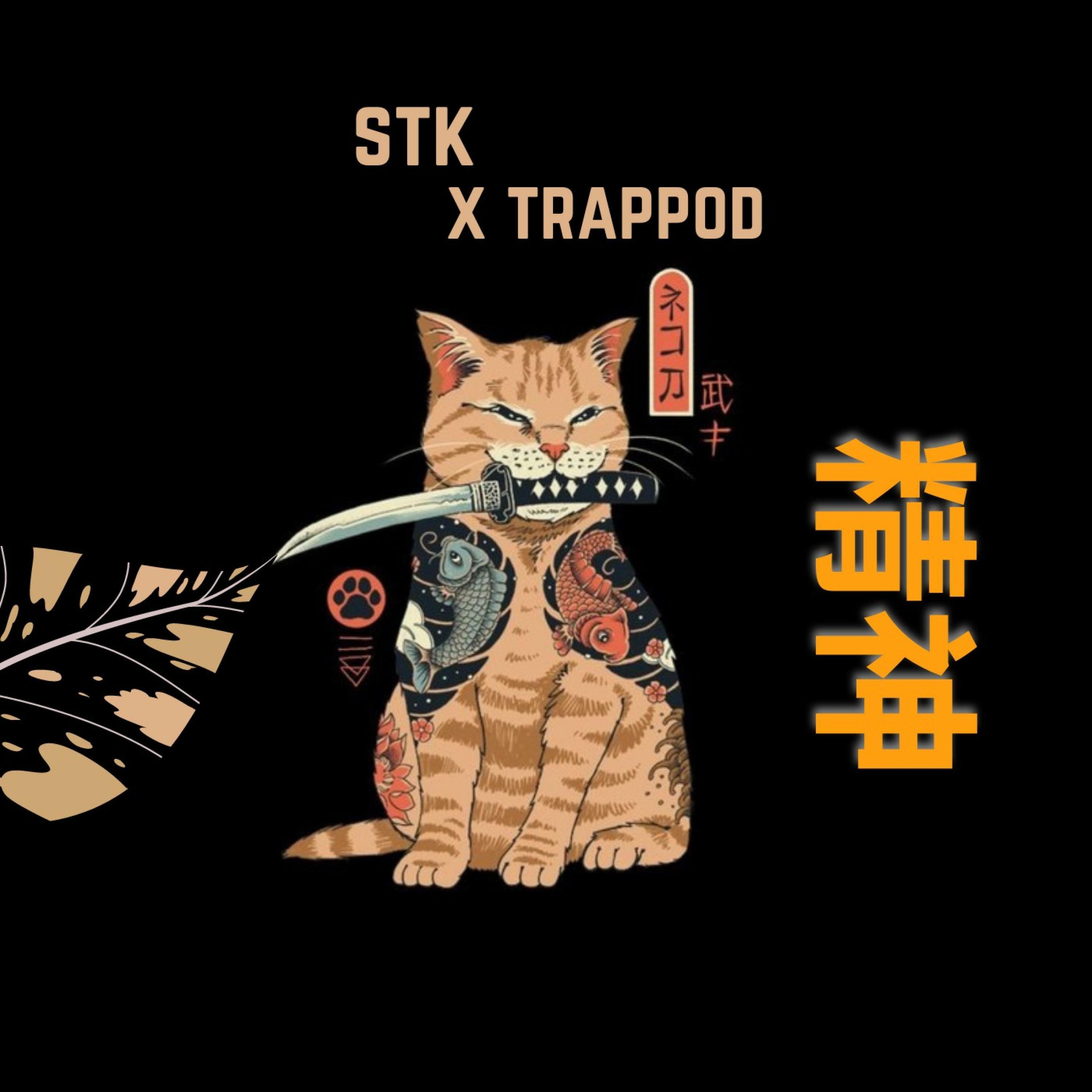Track Image
