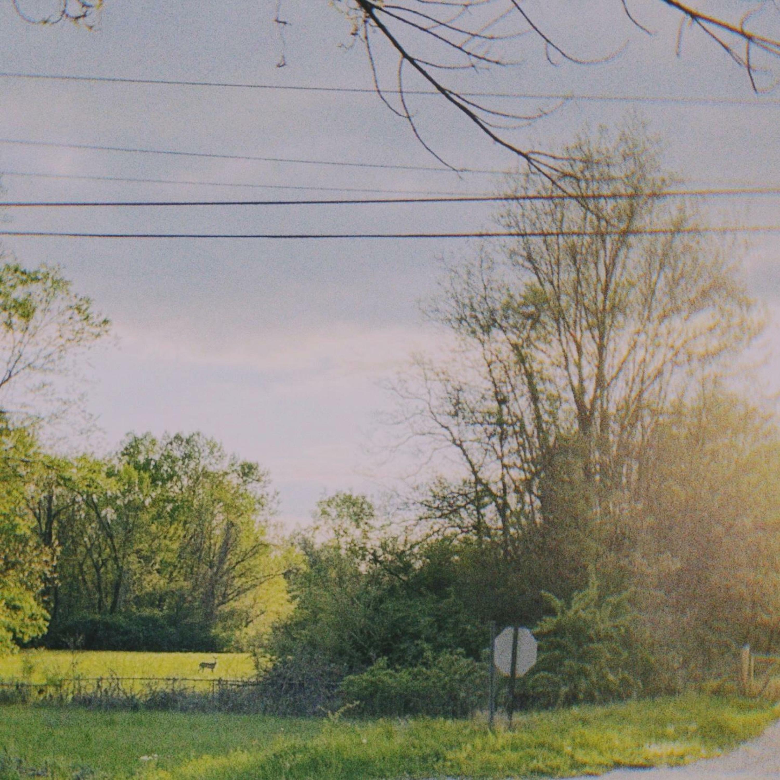 Track Image
