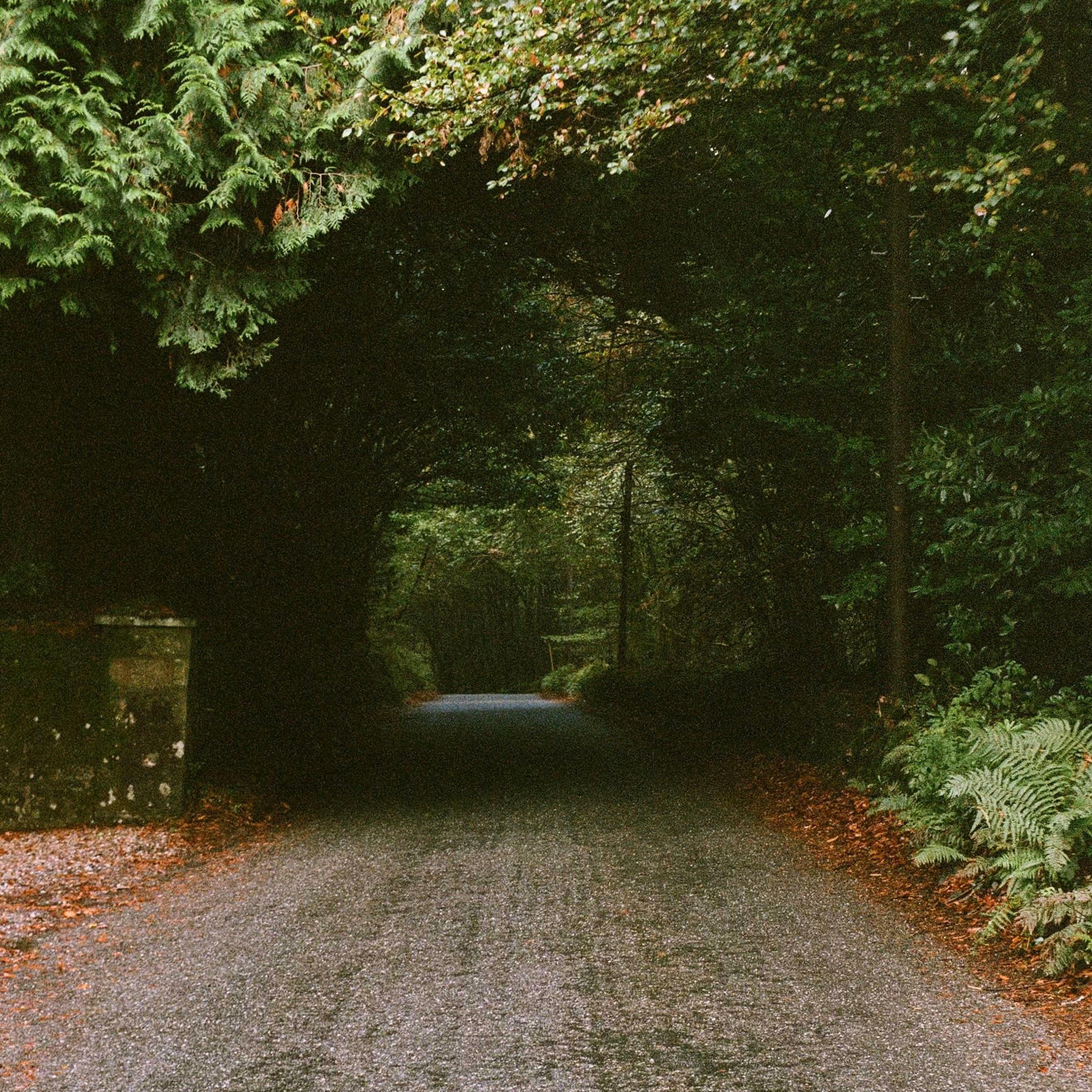 Track Image