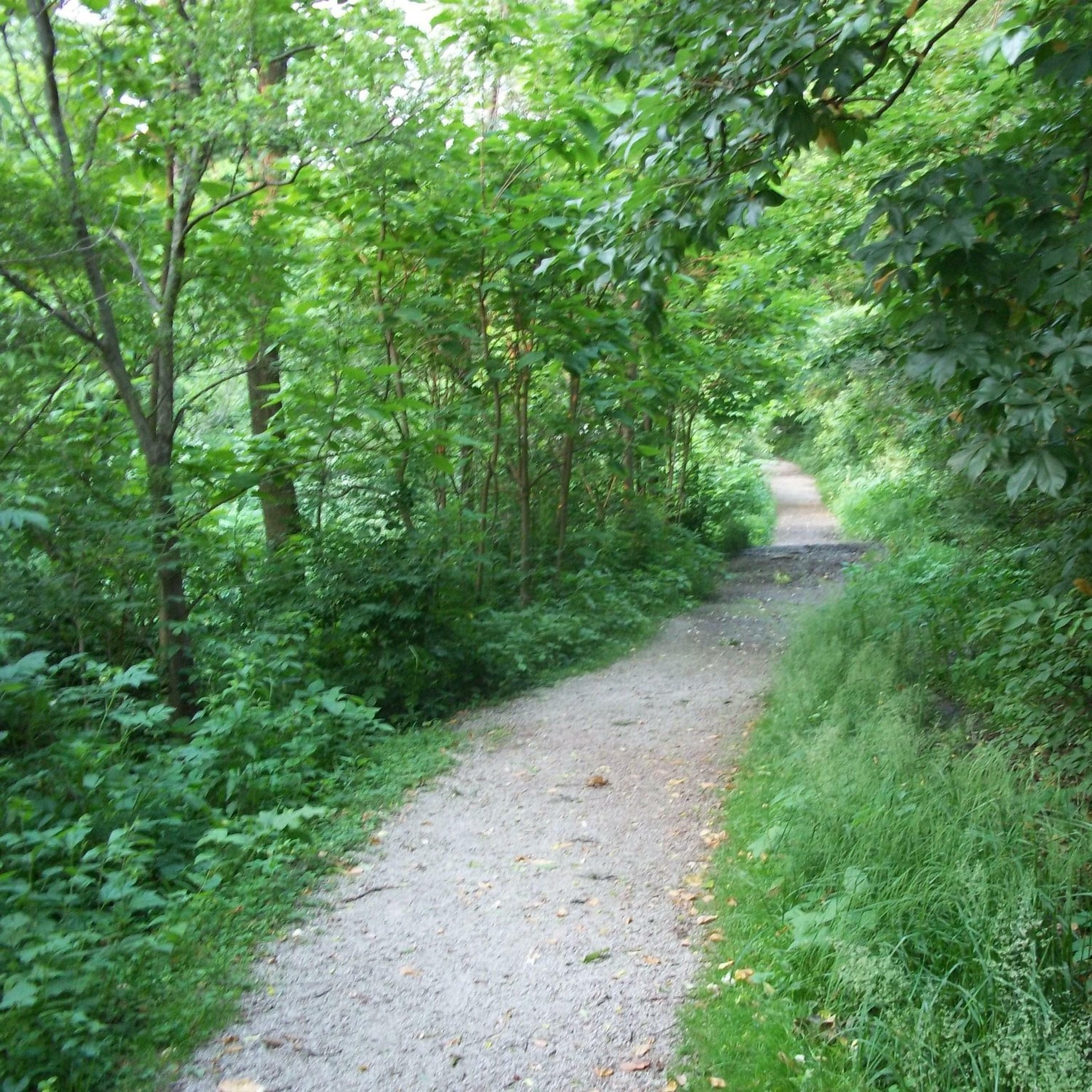 Track Image