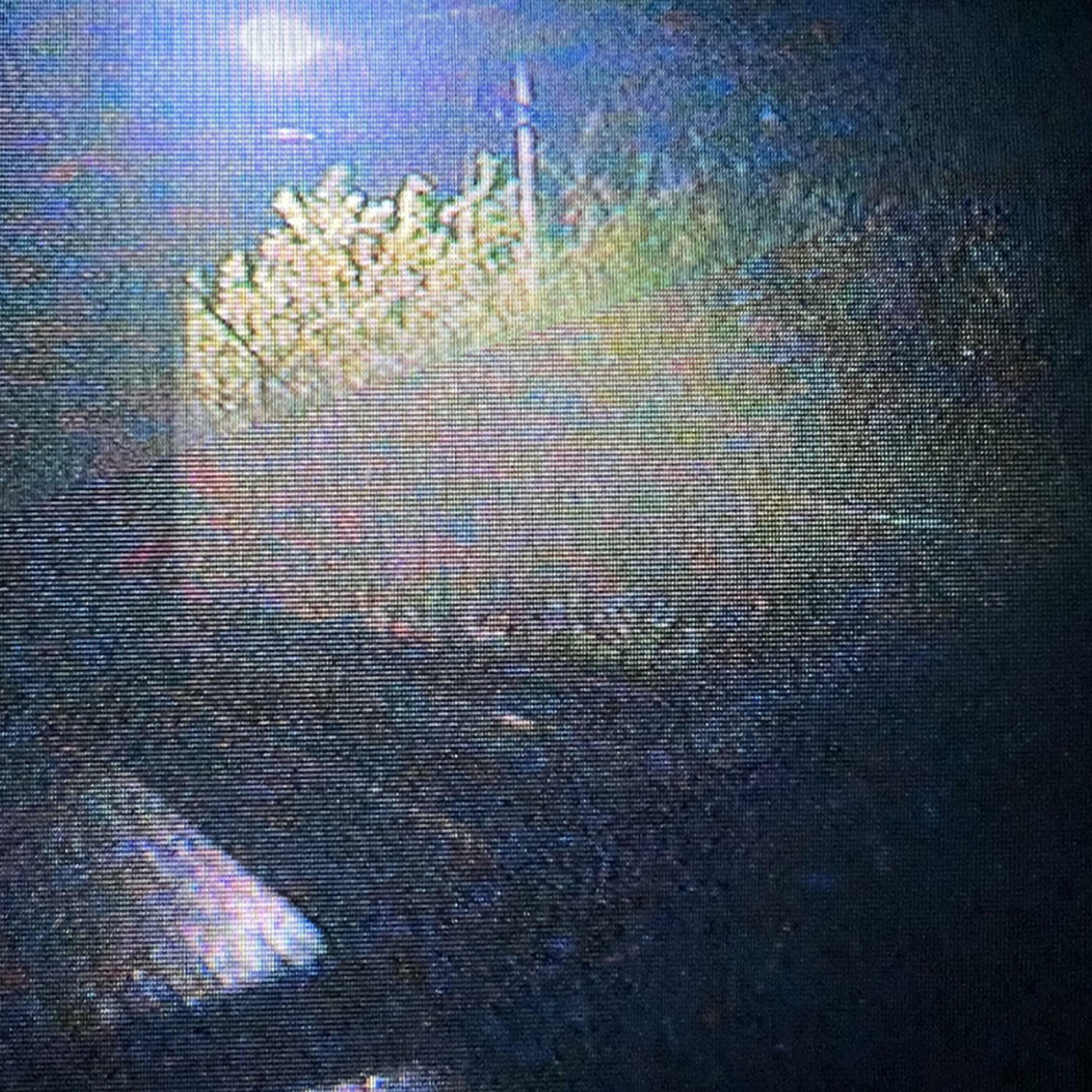 Track Image