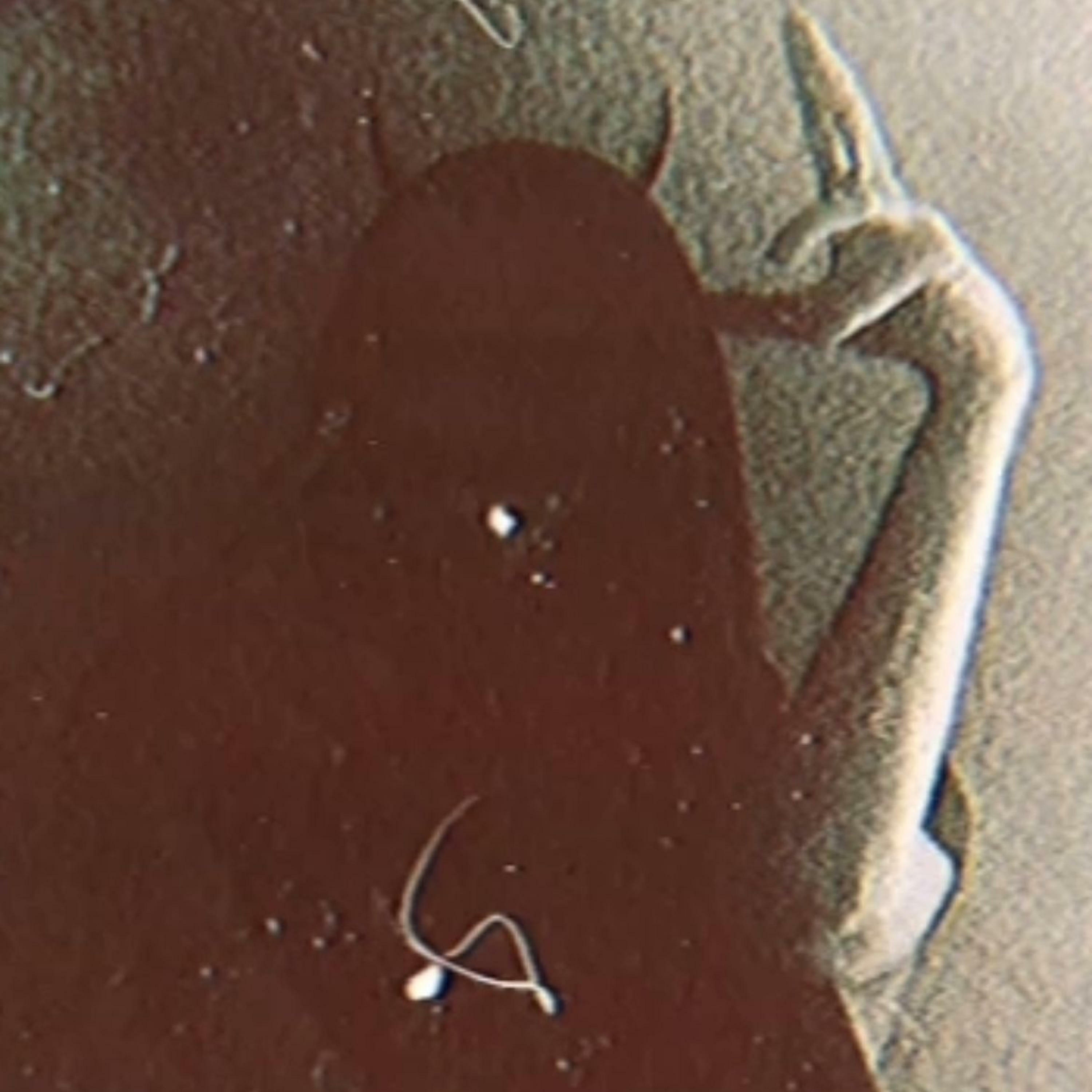 Track Image