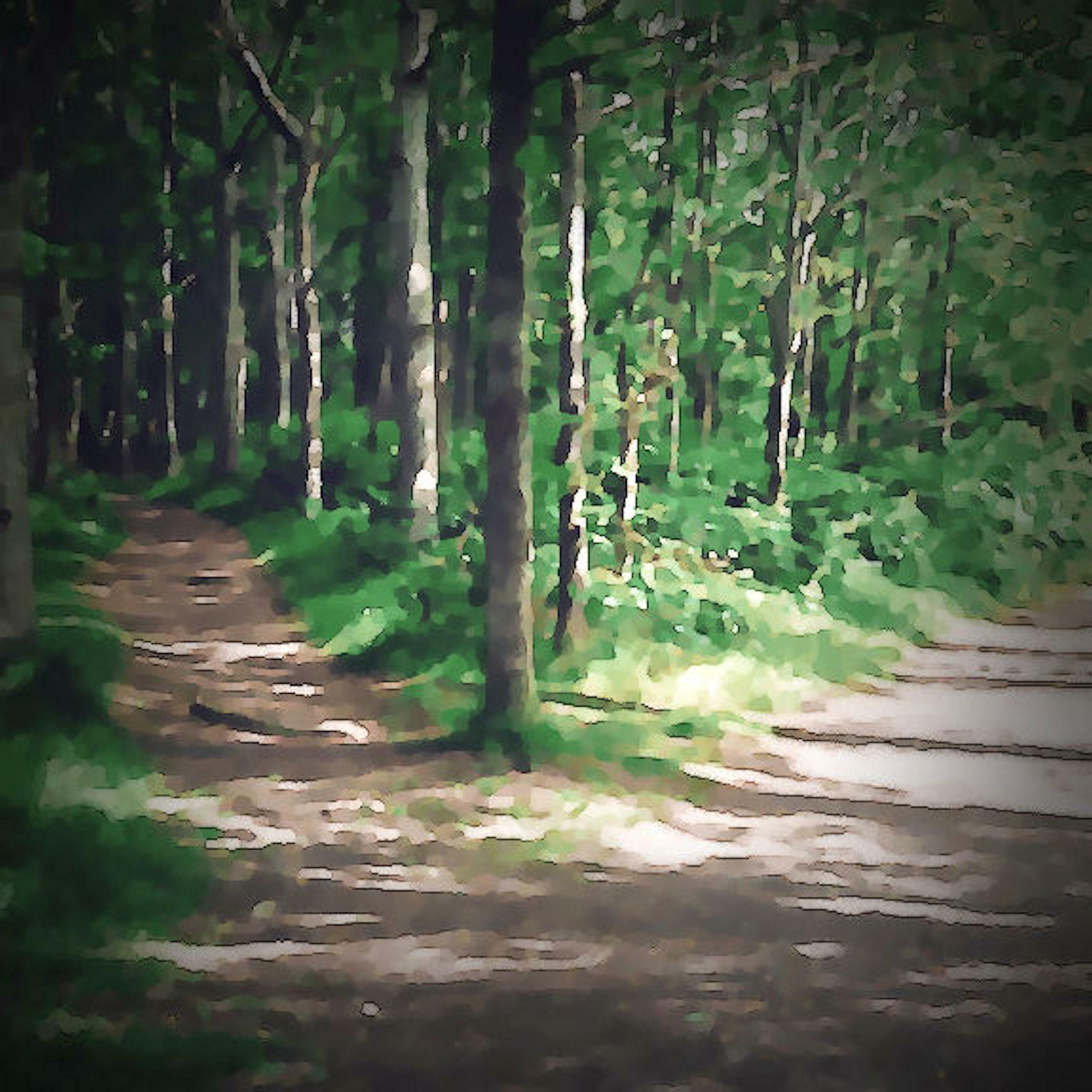 Track Image