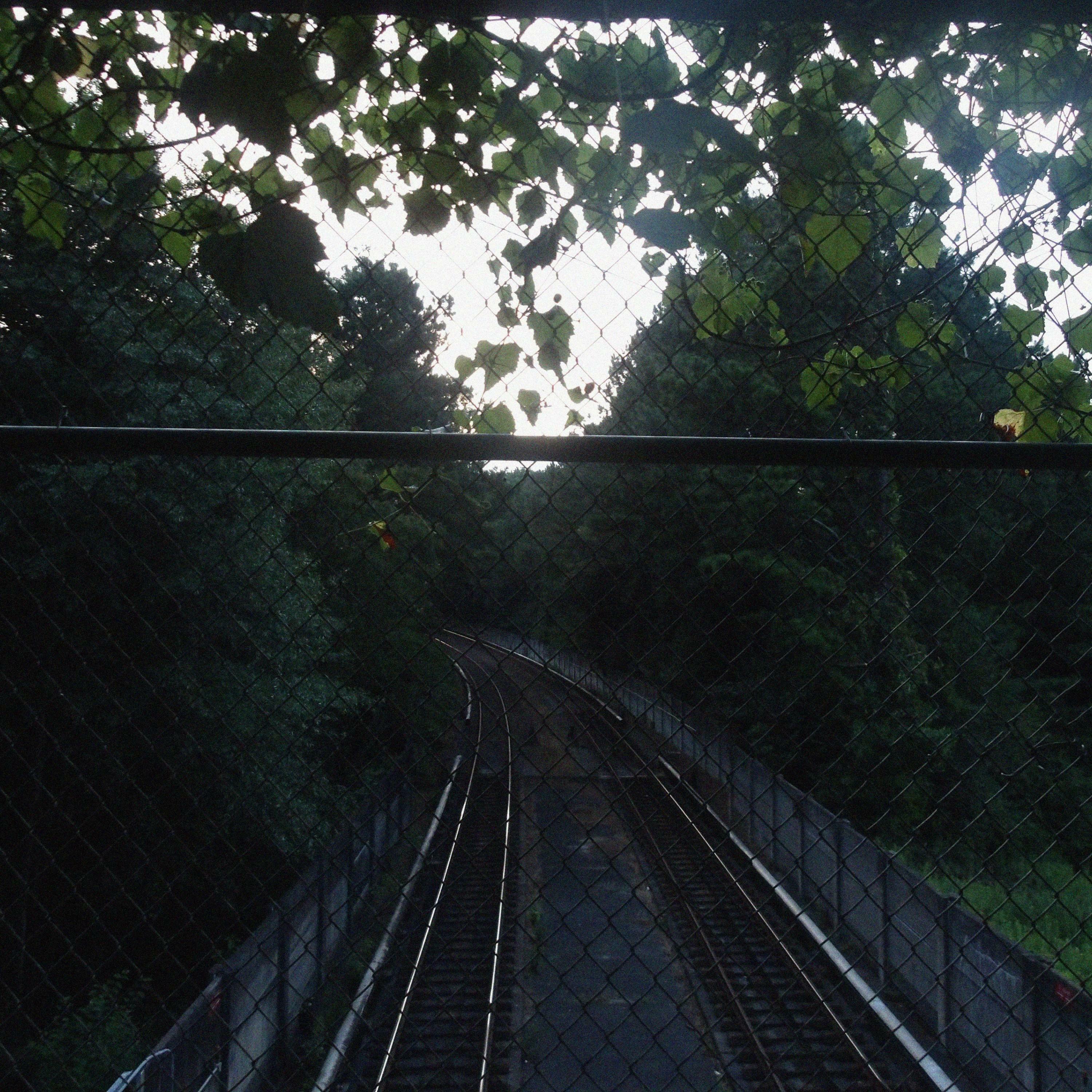 Track Image