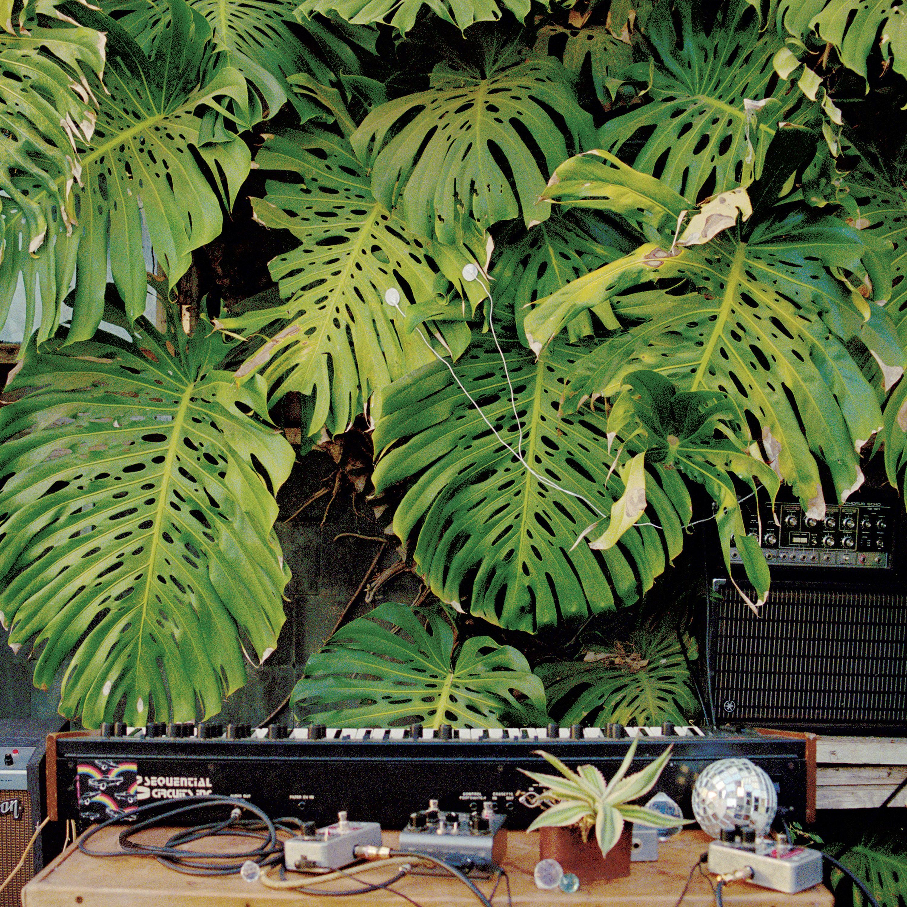 Track Image